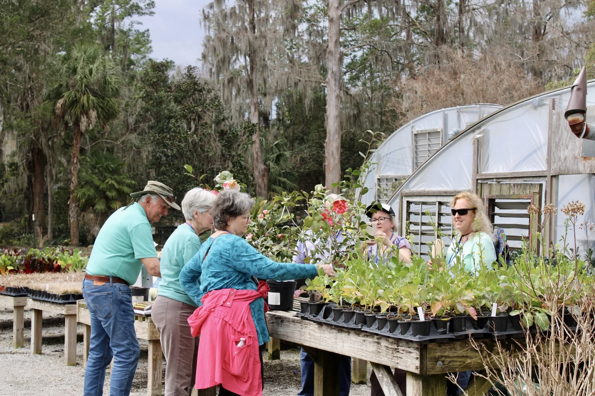 Welcoming the American Camellia Society Convention to Magnolia