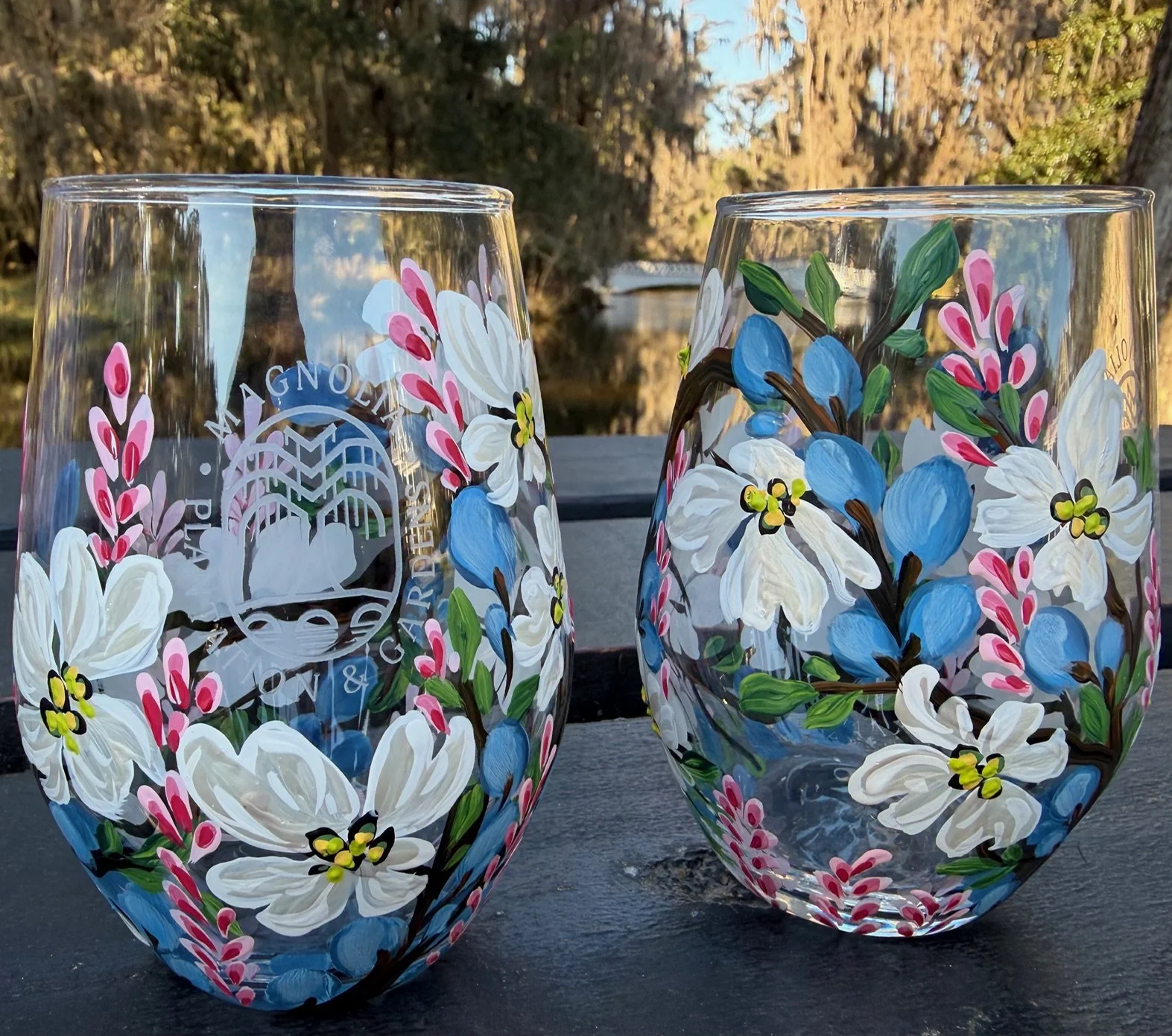 Paint &amp; Sip Class