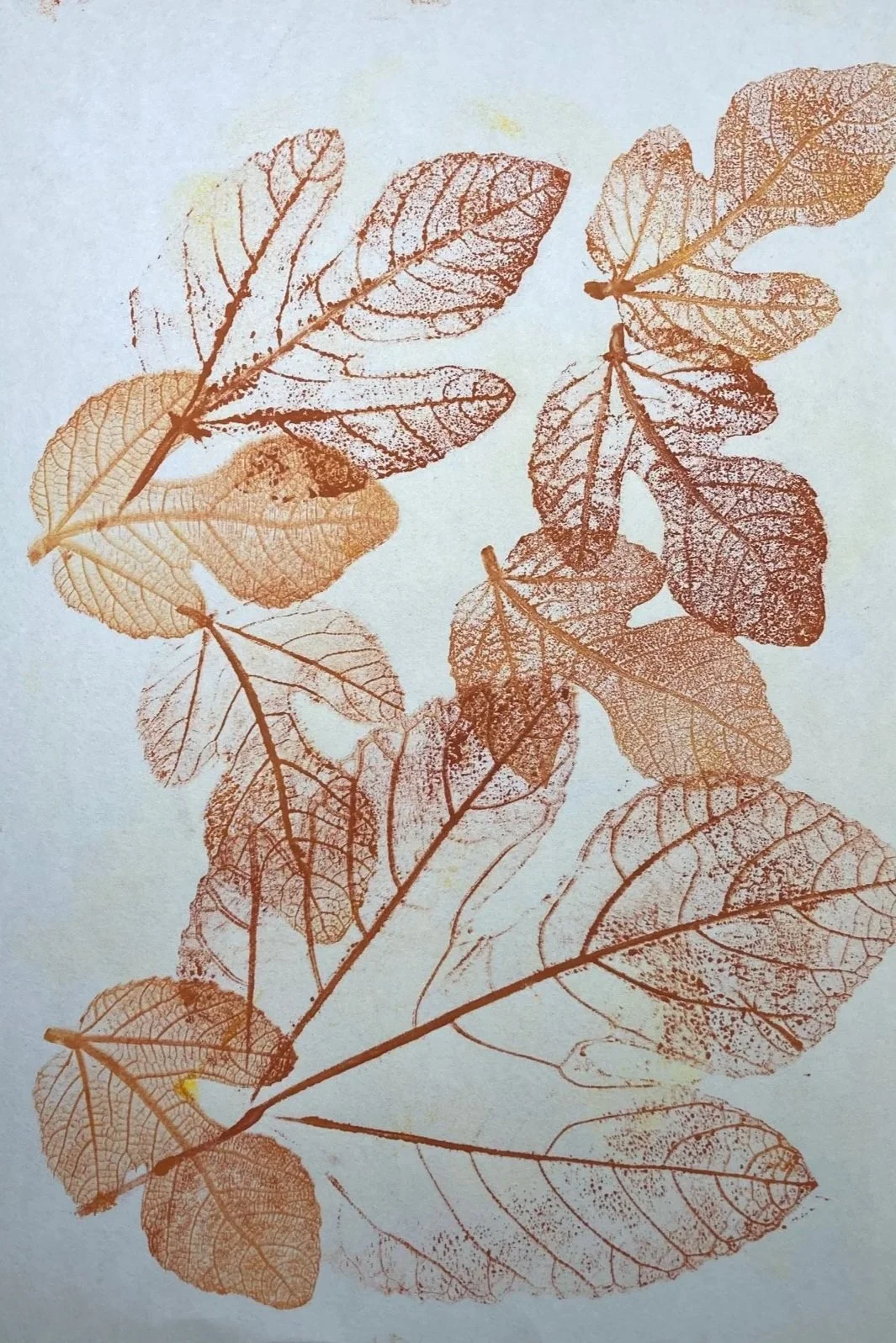 Print Making with Leaves at Magnolia Plantation &amp; Gardens
