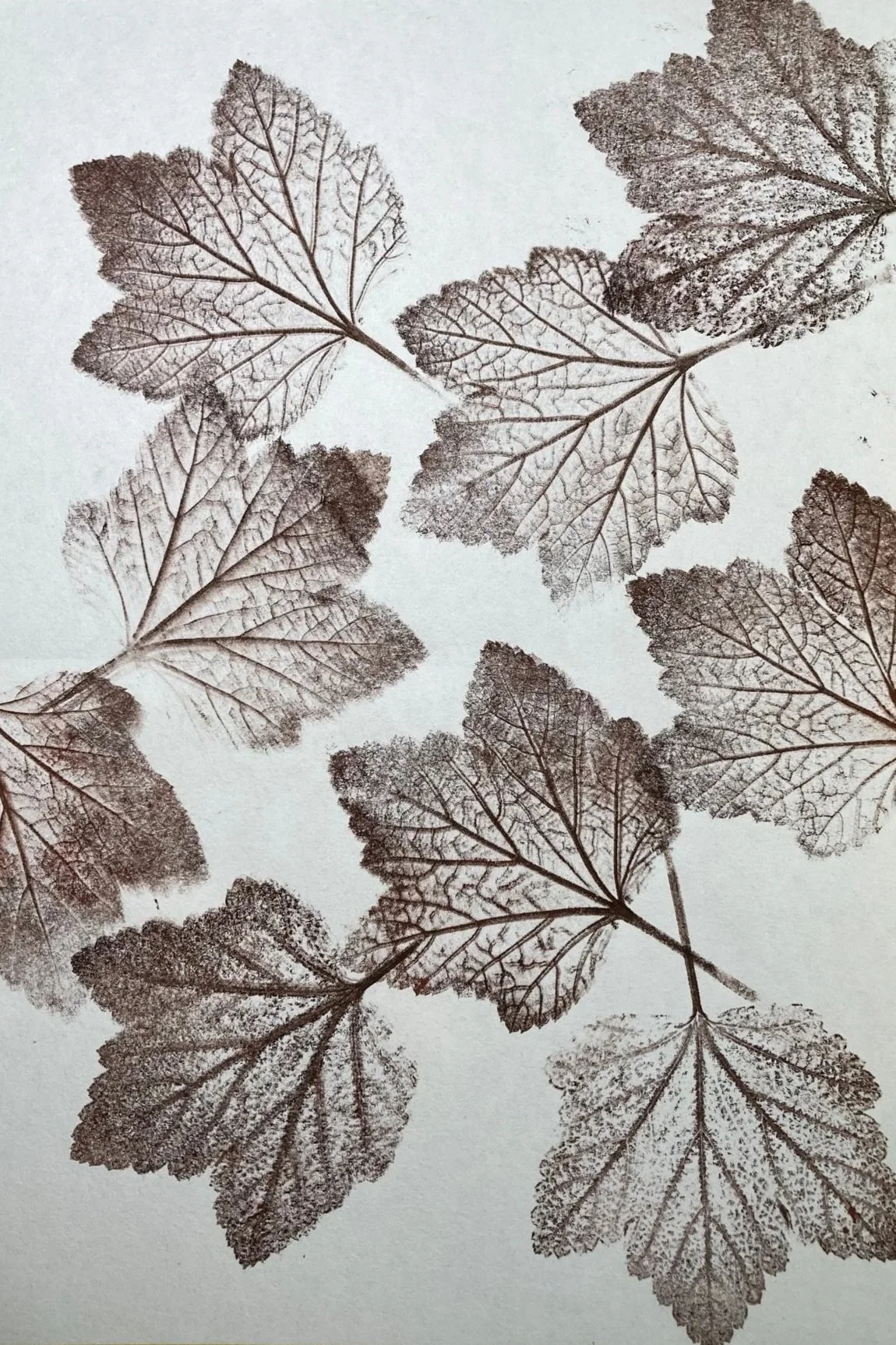 Nature Printing Workshop
