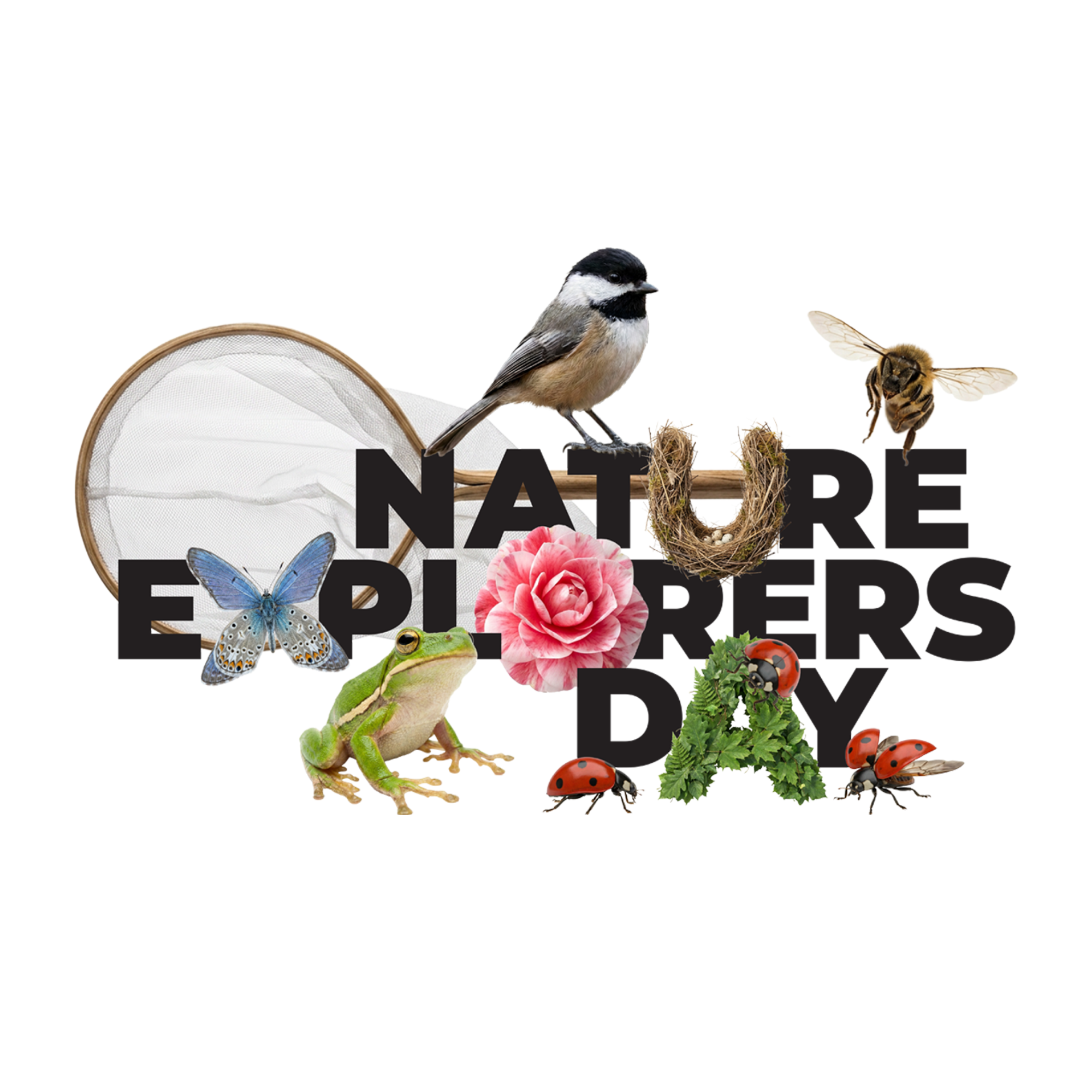 Nature Explorers Day