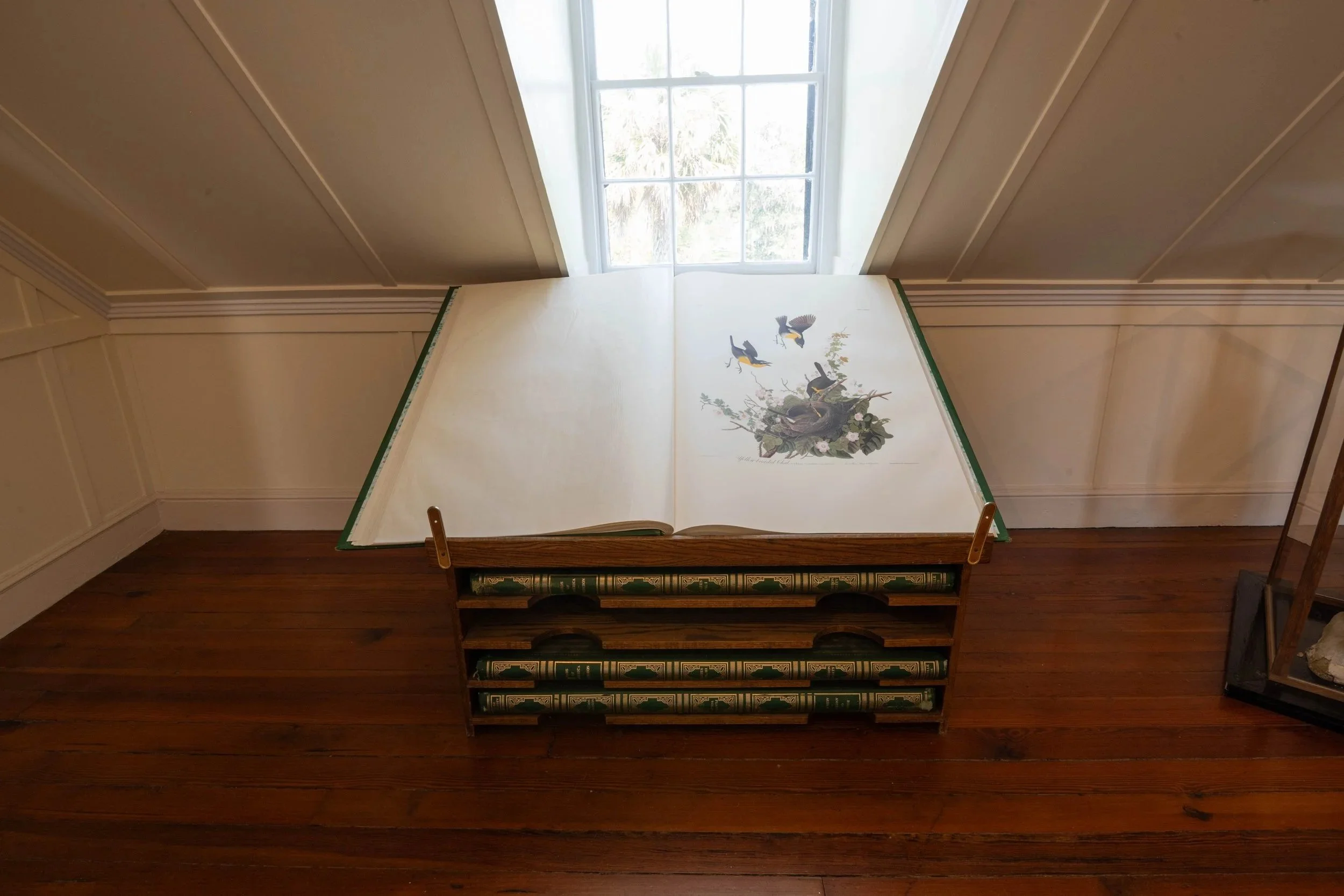Stories From The Archives at Magnolia