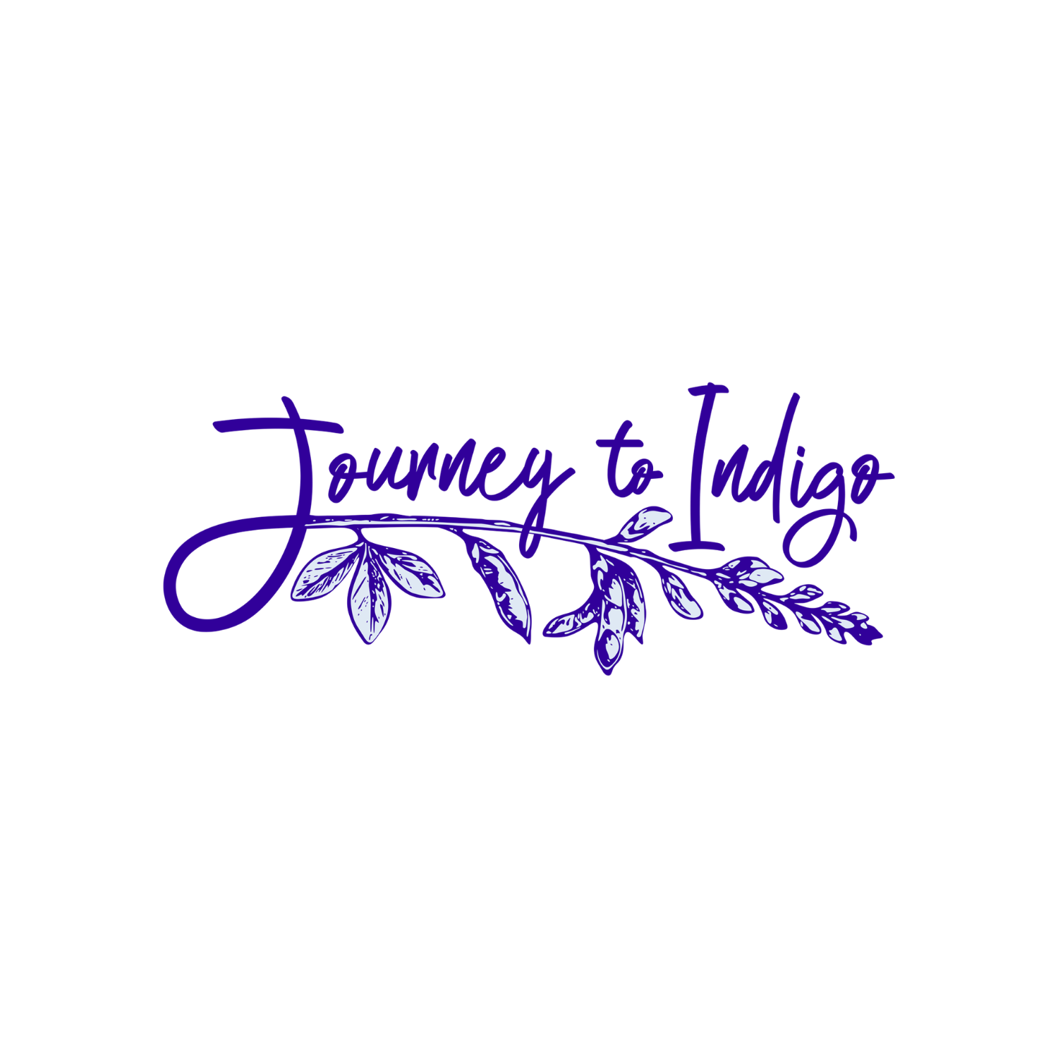 Journey to Indigo