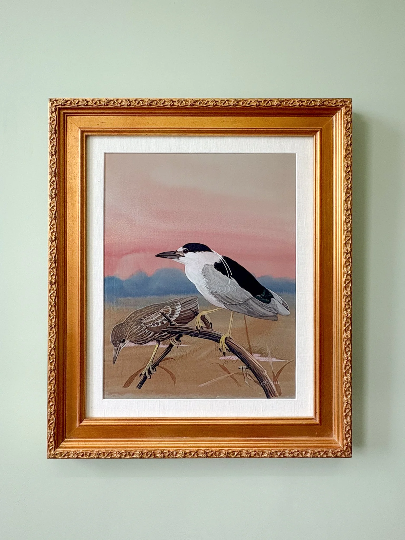 Edward von Seibold Dingle: The Audubon of South Carolina