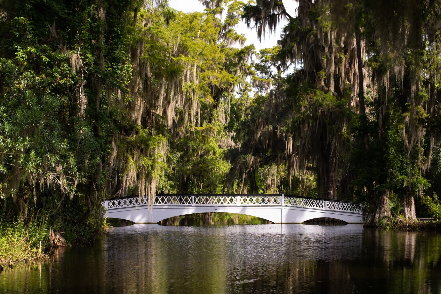 Long White Bridge at Magnolia Plantation &amp; Gardens 