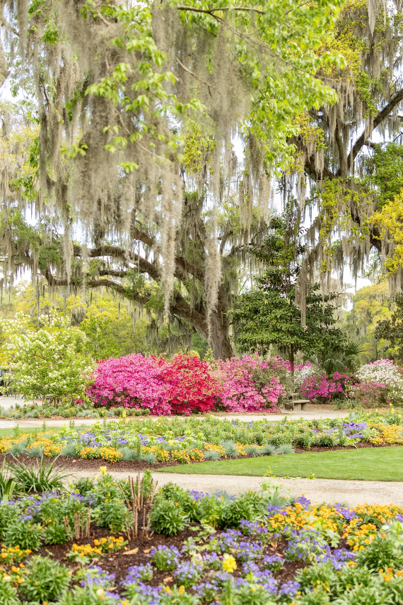 Garden paths at Magnolia Plantation &amp; Gardens