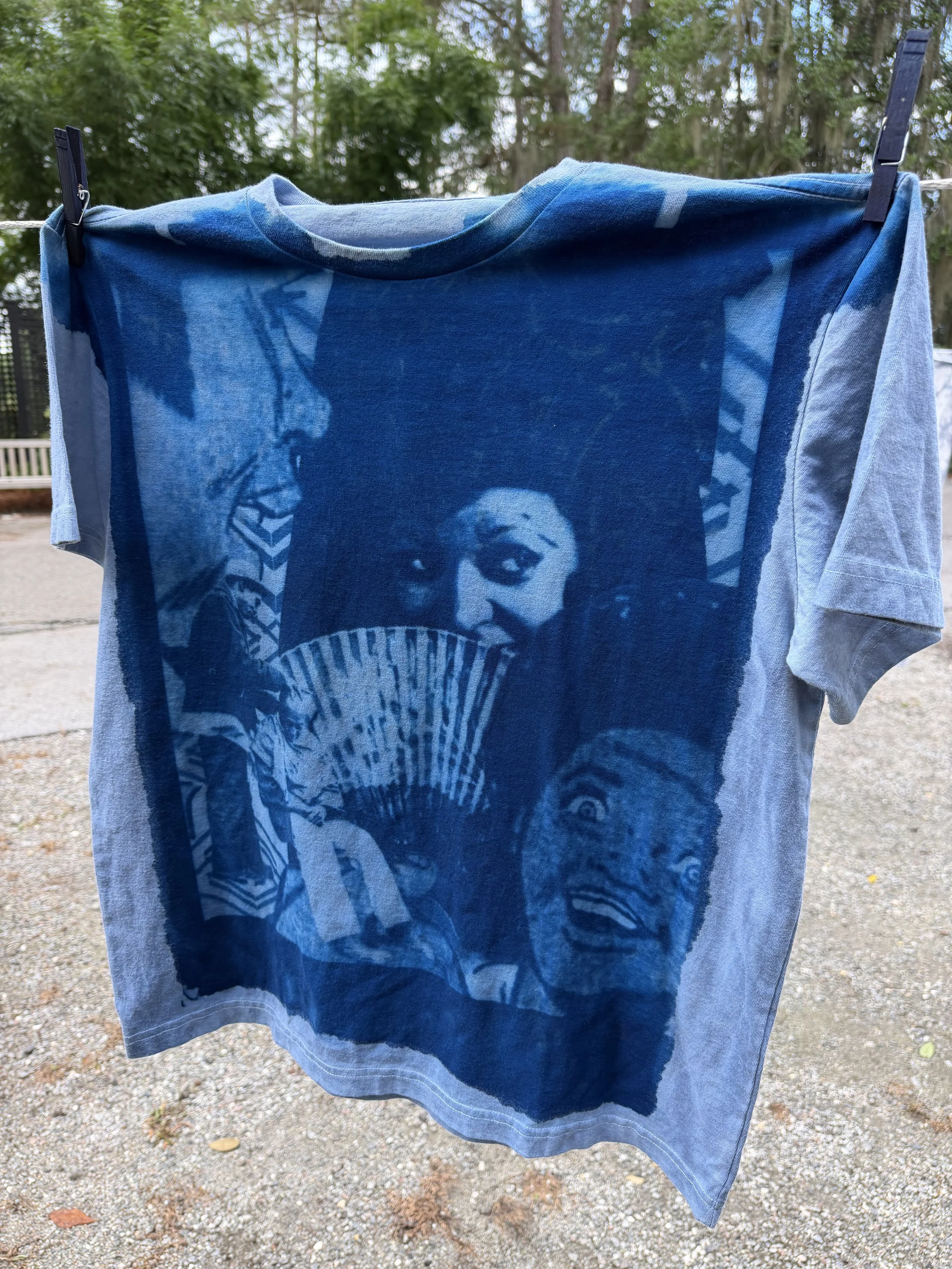 Blueprint: The Art &amp; Science of Cyanotype Printing