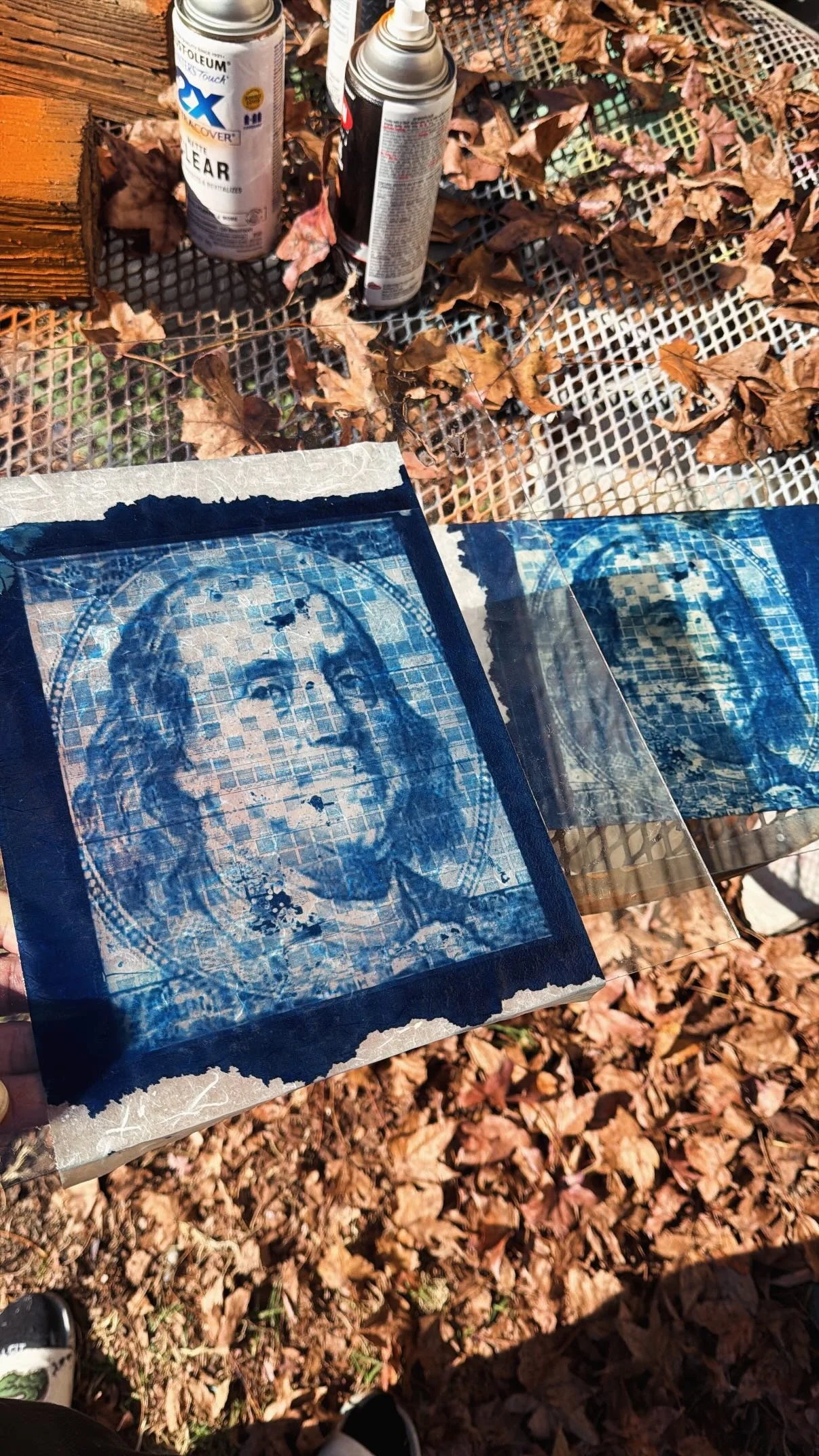 Blueprint: The Art &amp; Science of Cyanotype Printing