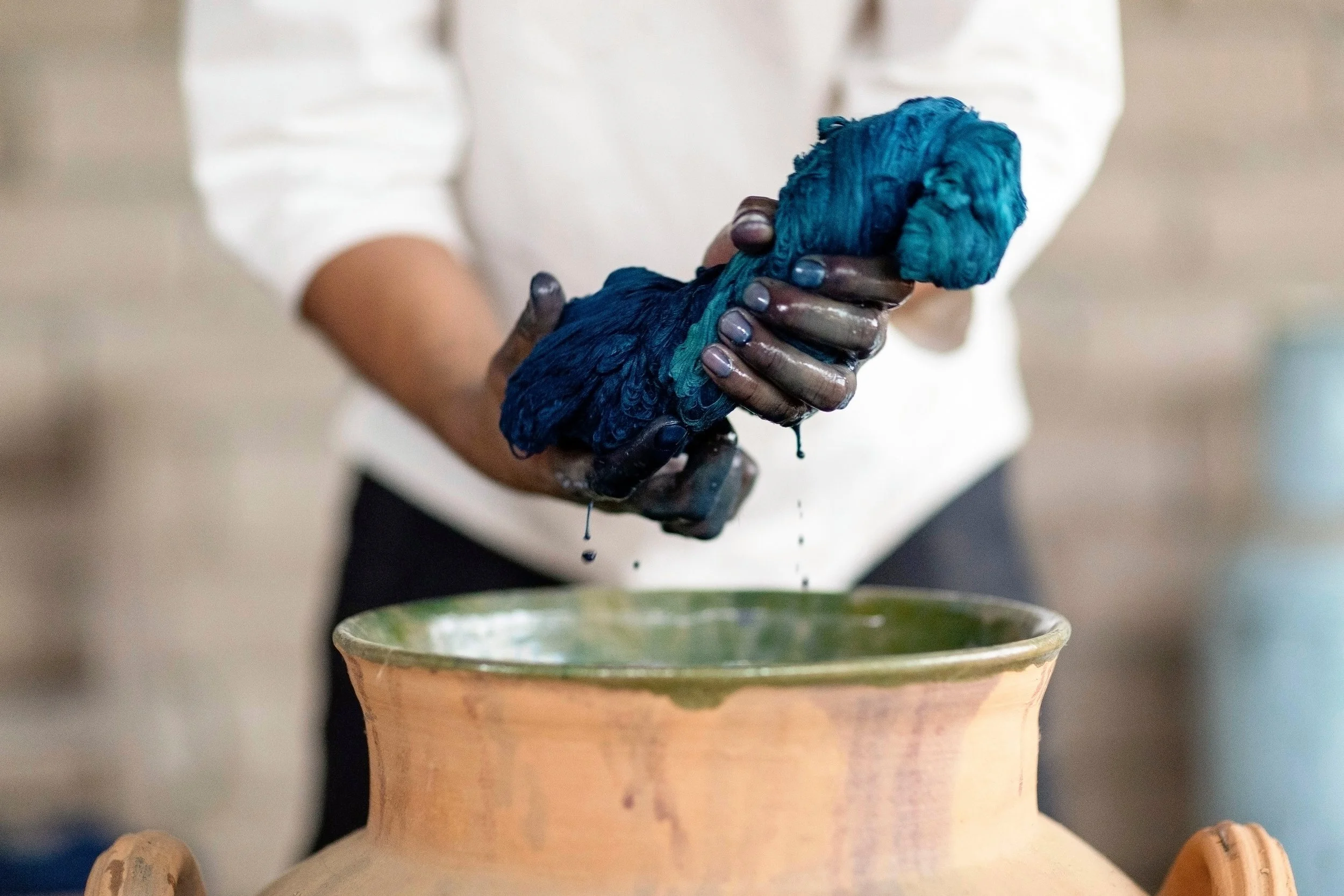 indigo at magnolia plantation &amp; gardens 