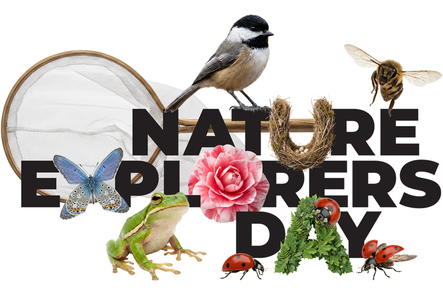 Nature Explorers Day: Family Fun & STEM Discovery | Charleston, SC ...