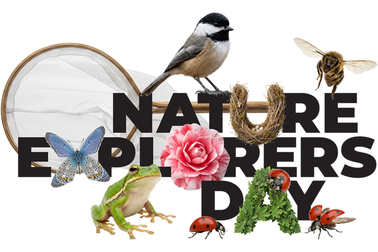 Nature Explorers Day: Family Fun & STEM Discovery | Charleston, SC ...