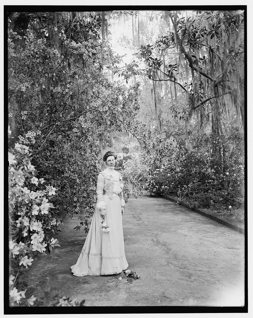 A woman standing along on a pathway lined with azaleas