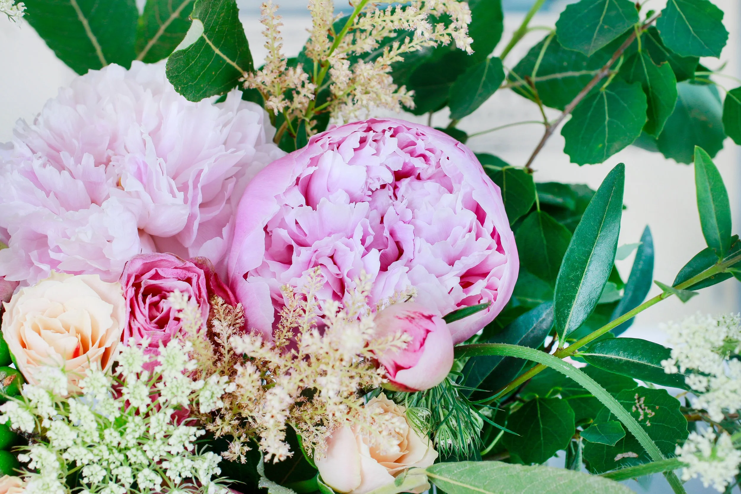 Peonies and Queen Anne's Lace in an assorted arrangement