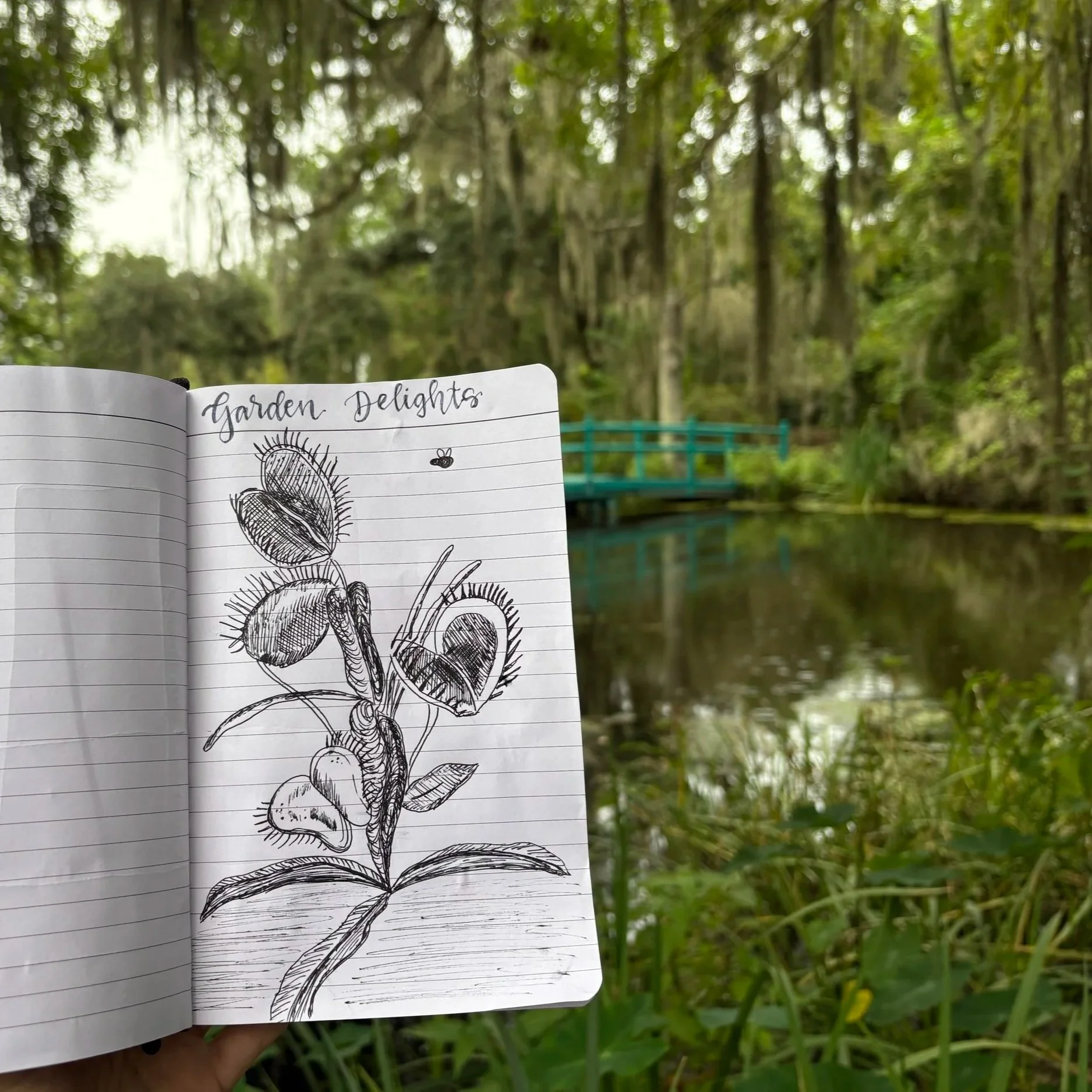 nature journaling workshop at magnolia plantation and gardens. a beautiful plant is sketched in a journal page that says 'garden delights'