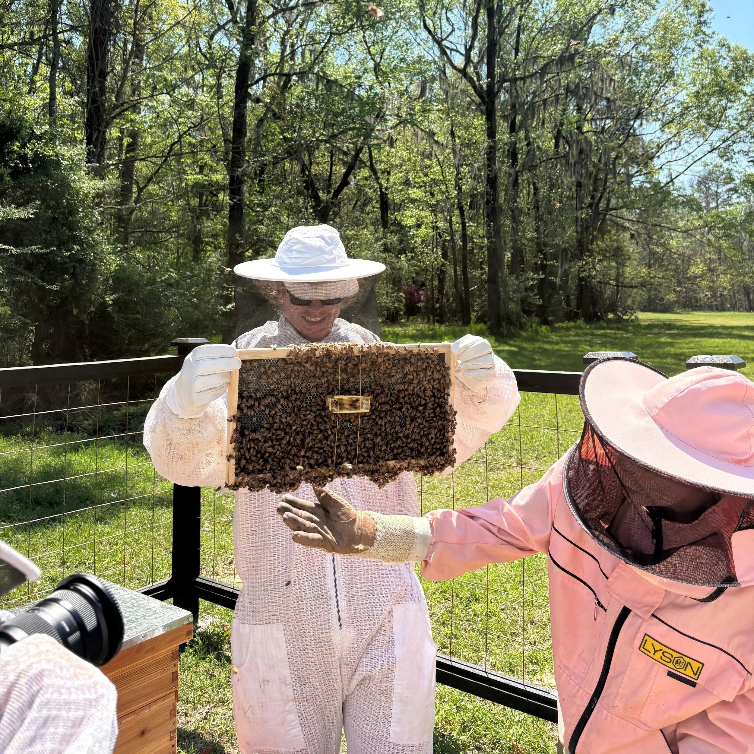 Apiary at the heritage garden at magnolia plantation, color display team beekeeping