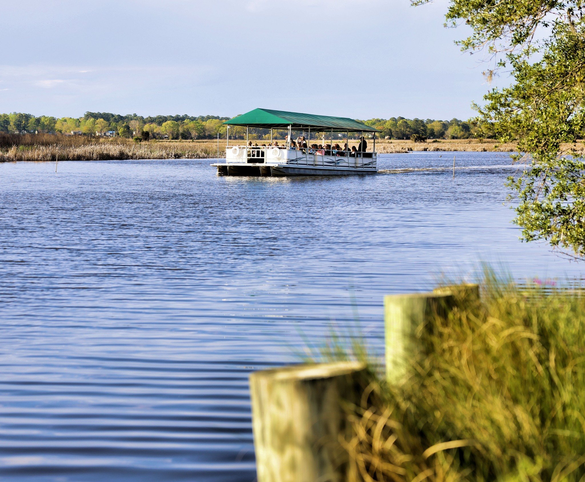 Wildlife Boat Tour floats along the Magnolia Marsh