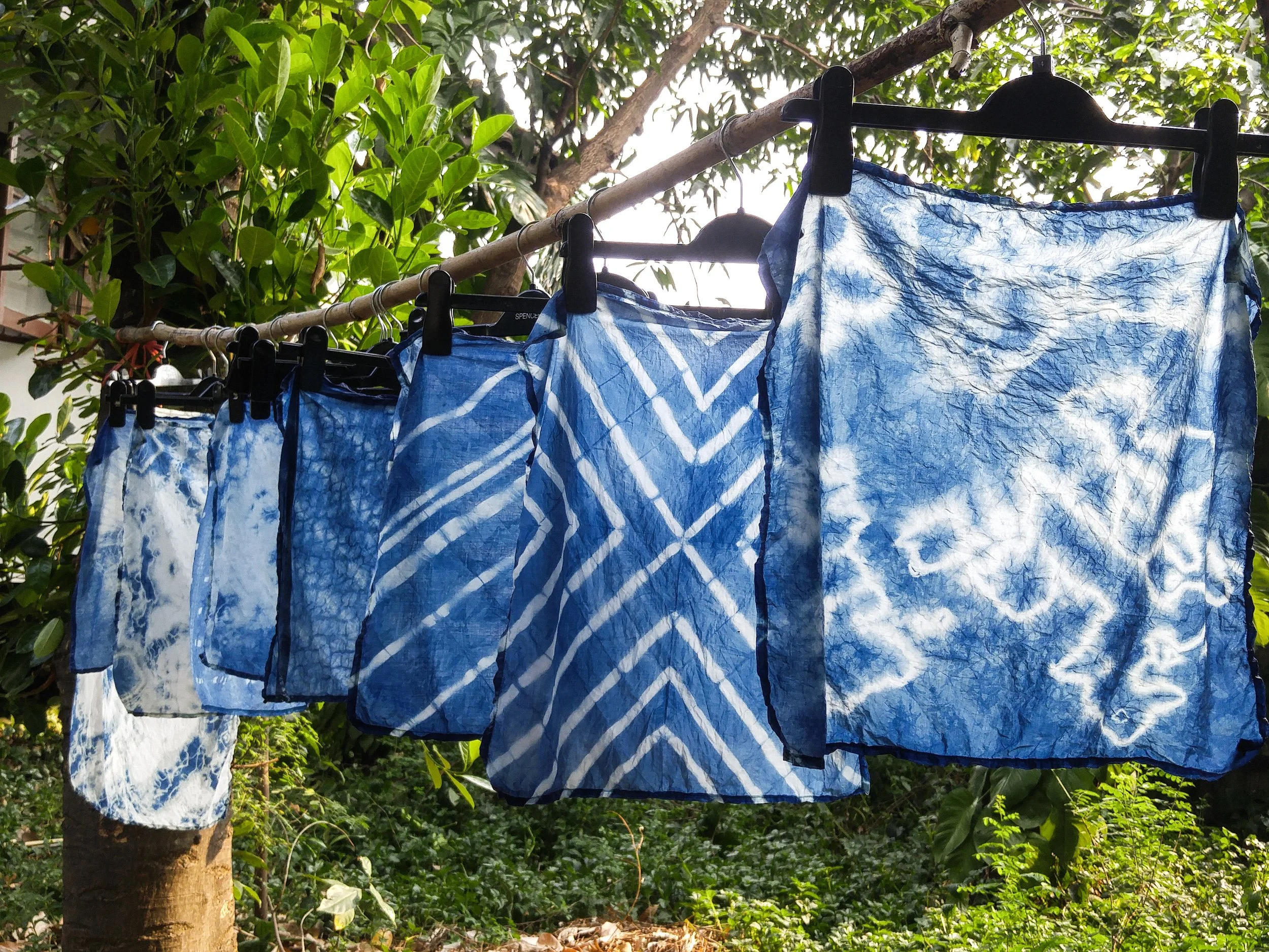 Indigo being hung to dry