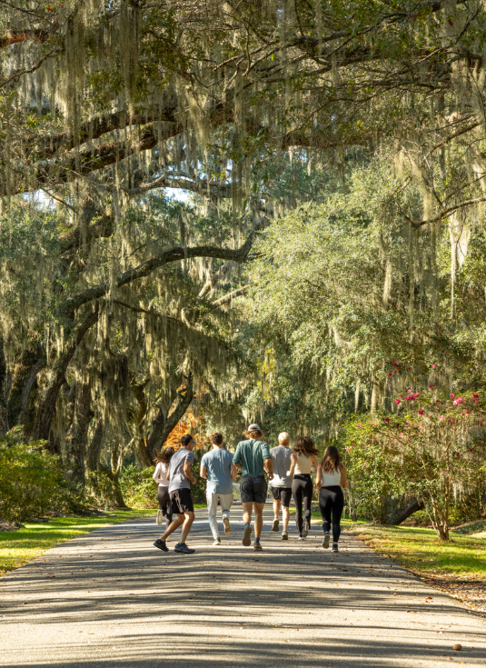 group of runners in floral 5k at magnolia plantation and gardens