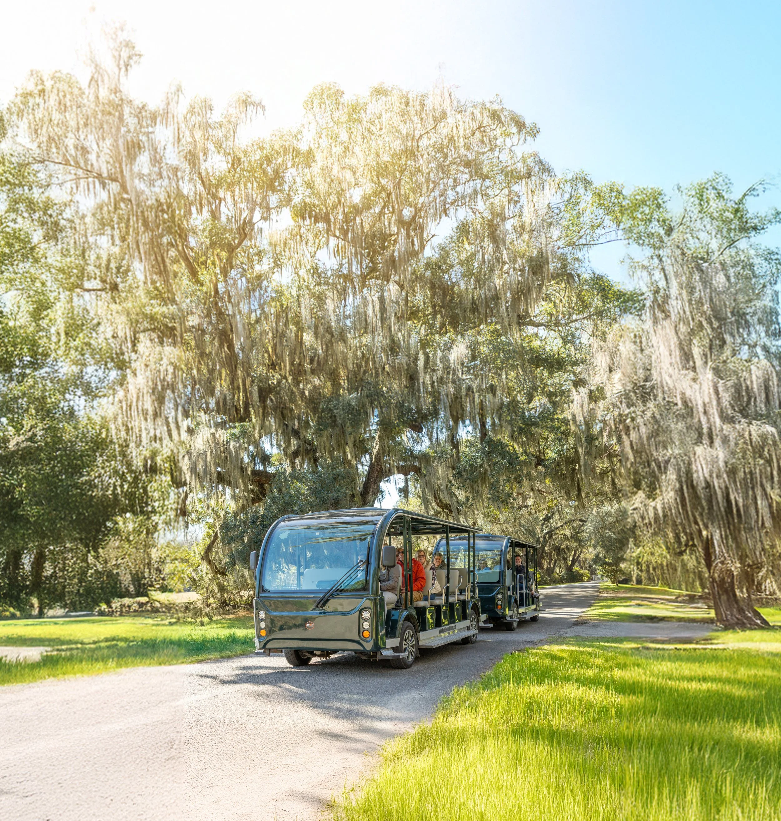 The Nature Train drives along a road surrounded by huge live oak trees.
