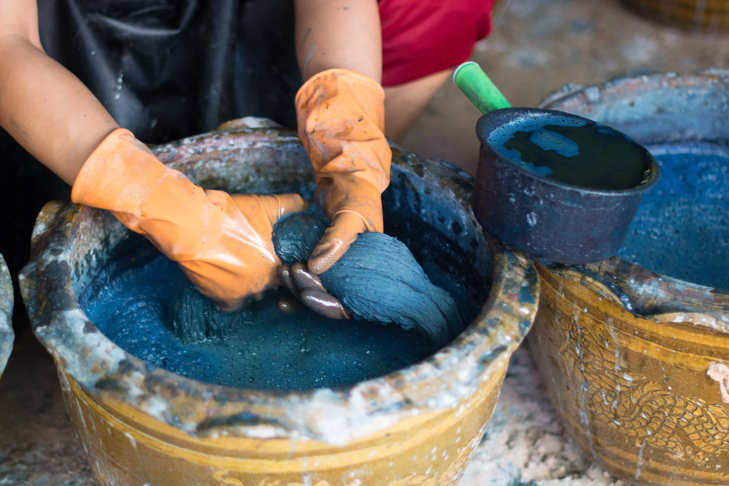 Journey to Indigo at Magnolia Plantation & Gardens