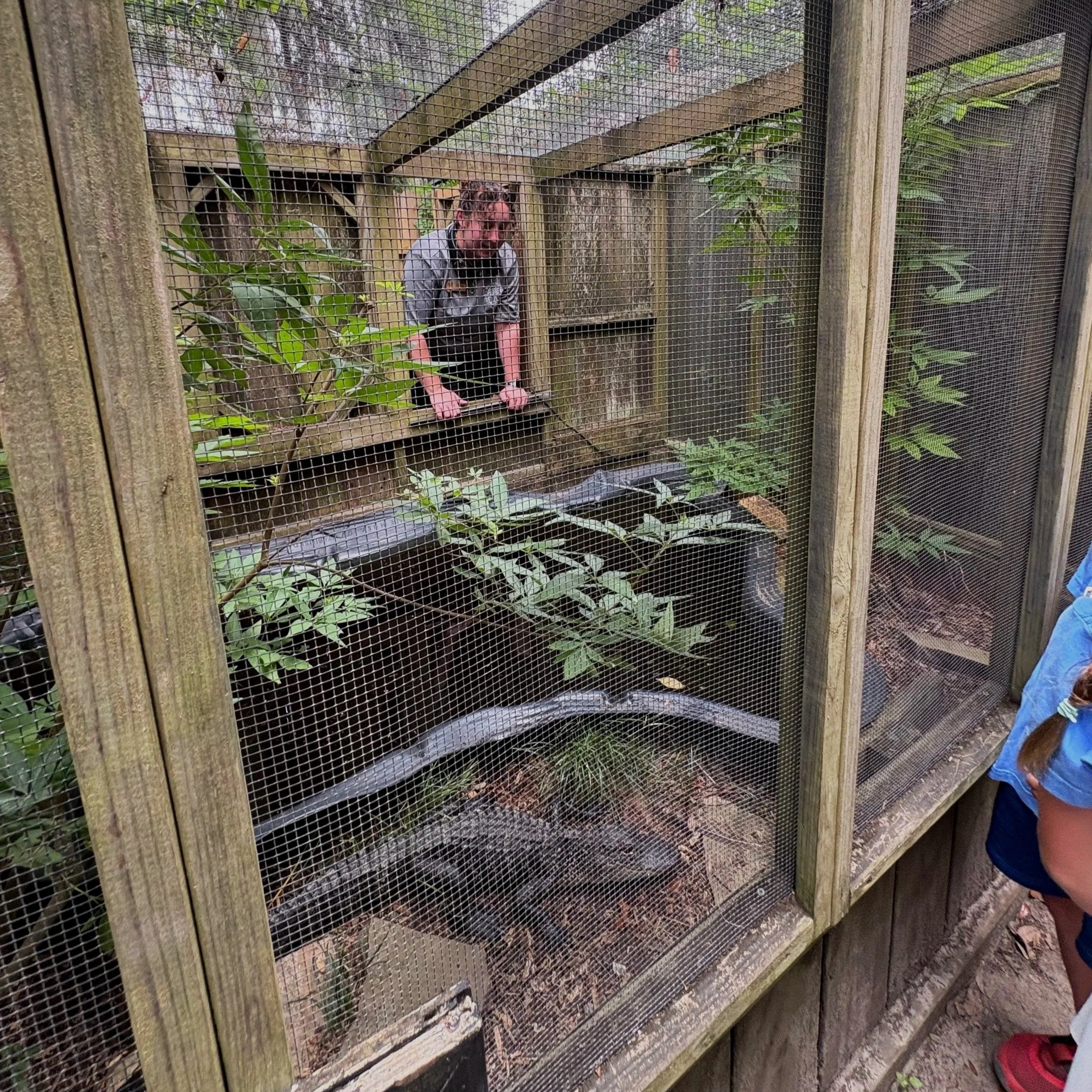 Wildout Wednesday at Magnolia Plantation & Gardens