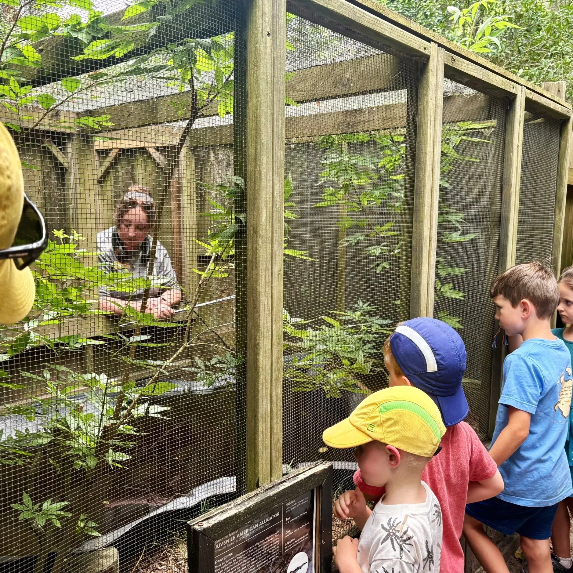 Wildout Wednesday at Magnolia Plantation & Gardens
