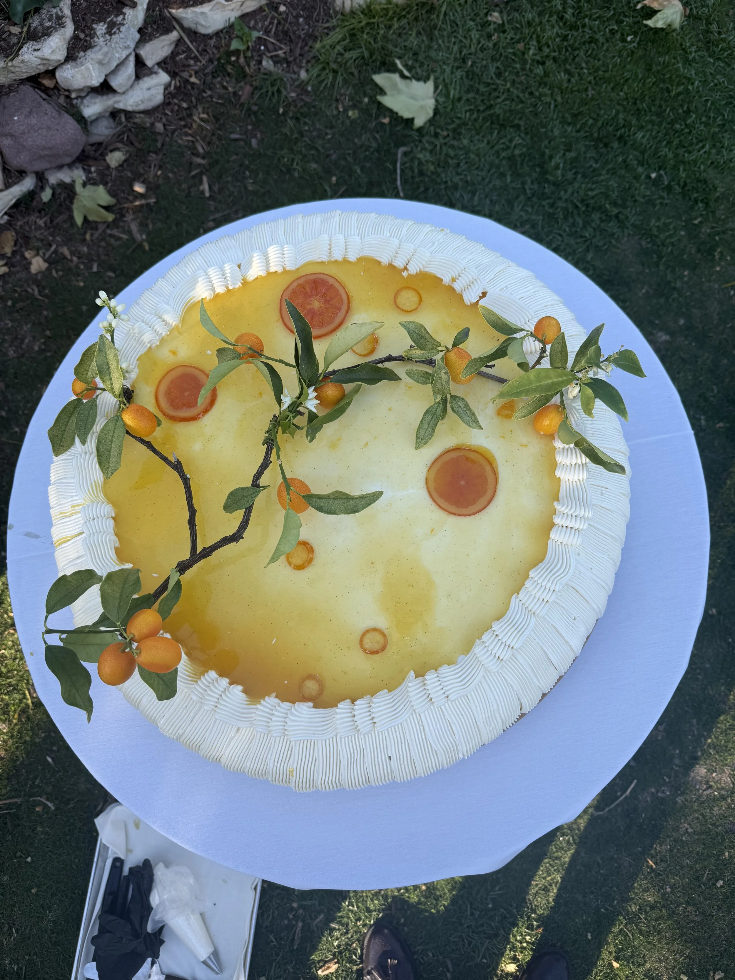 A decorated cake with white icing, topped with orange berries, green leaves, and small branches, set on a white surface outside on grass.