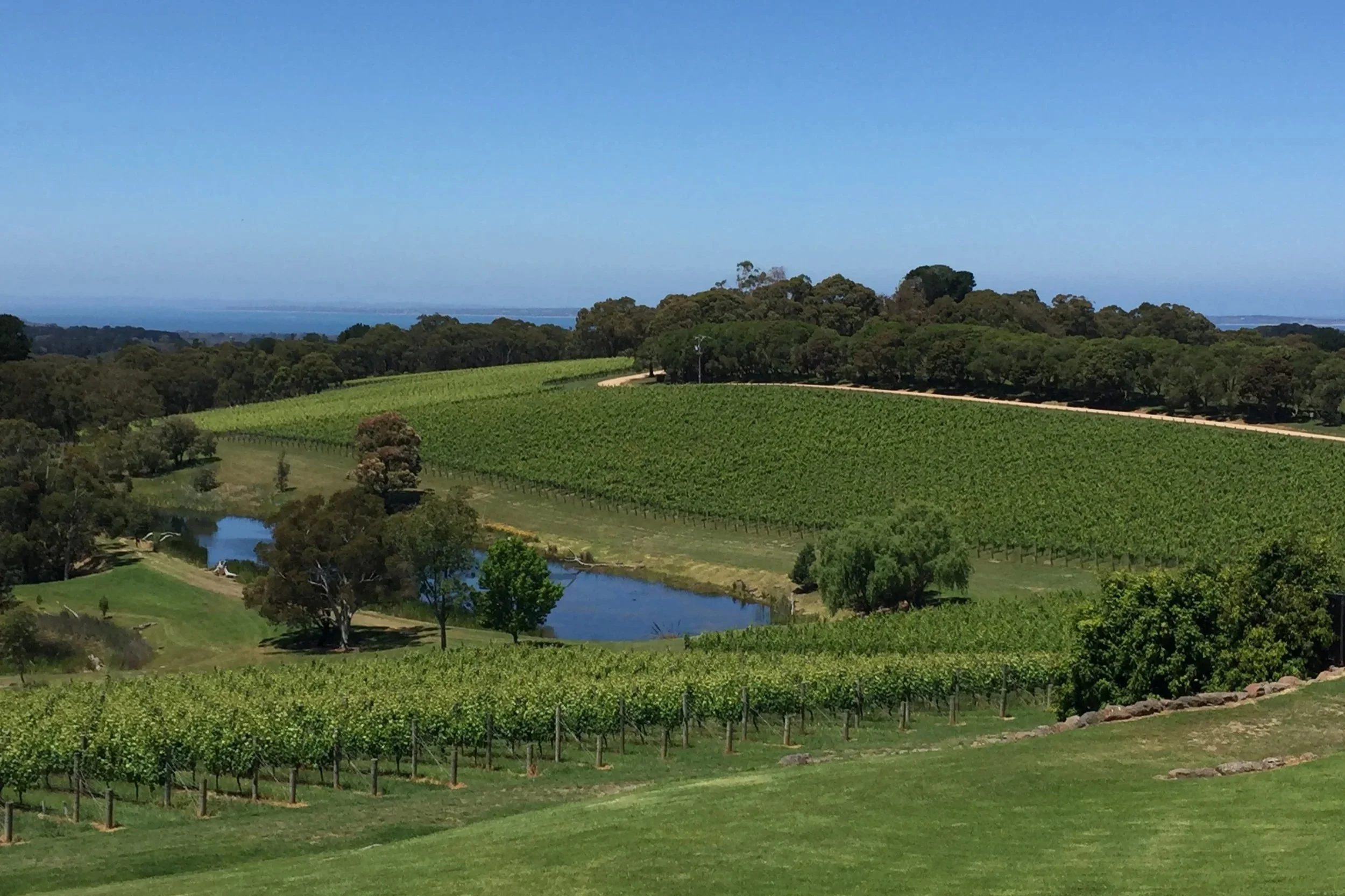 Yarra Valley wine appreciation trip (Copy) (Copy) (Copy) (Copy)