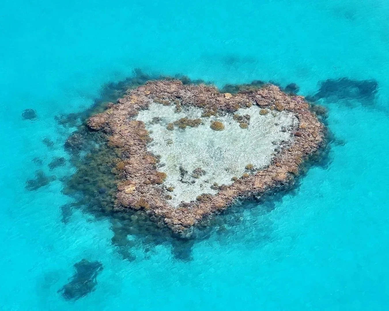 Heart%2BReef.jpg