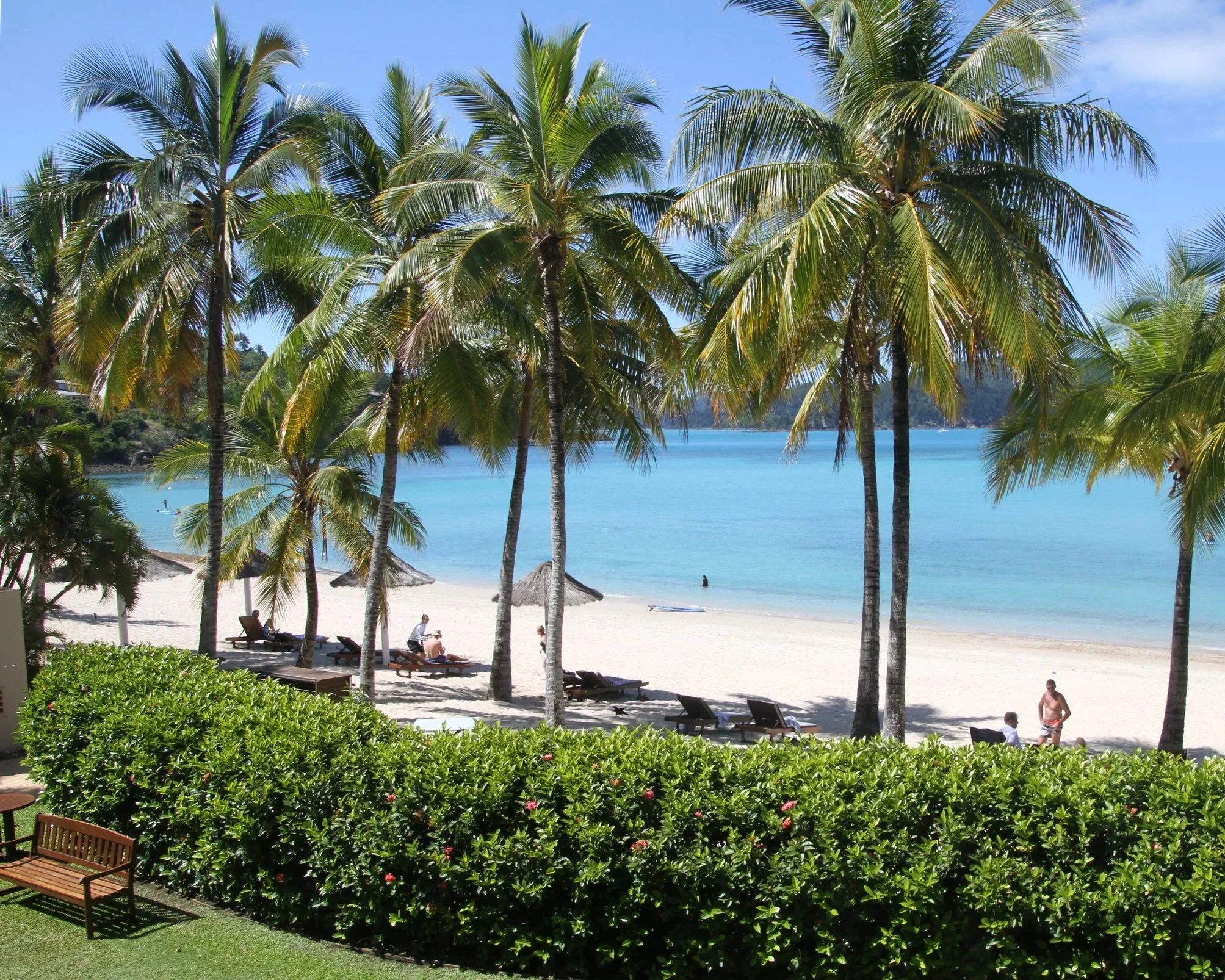Beach+Club+Grounds.jpg