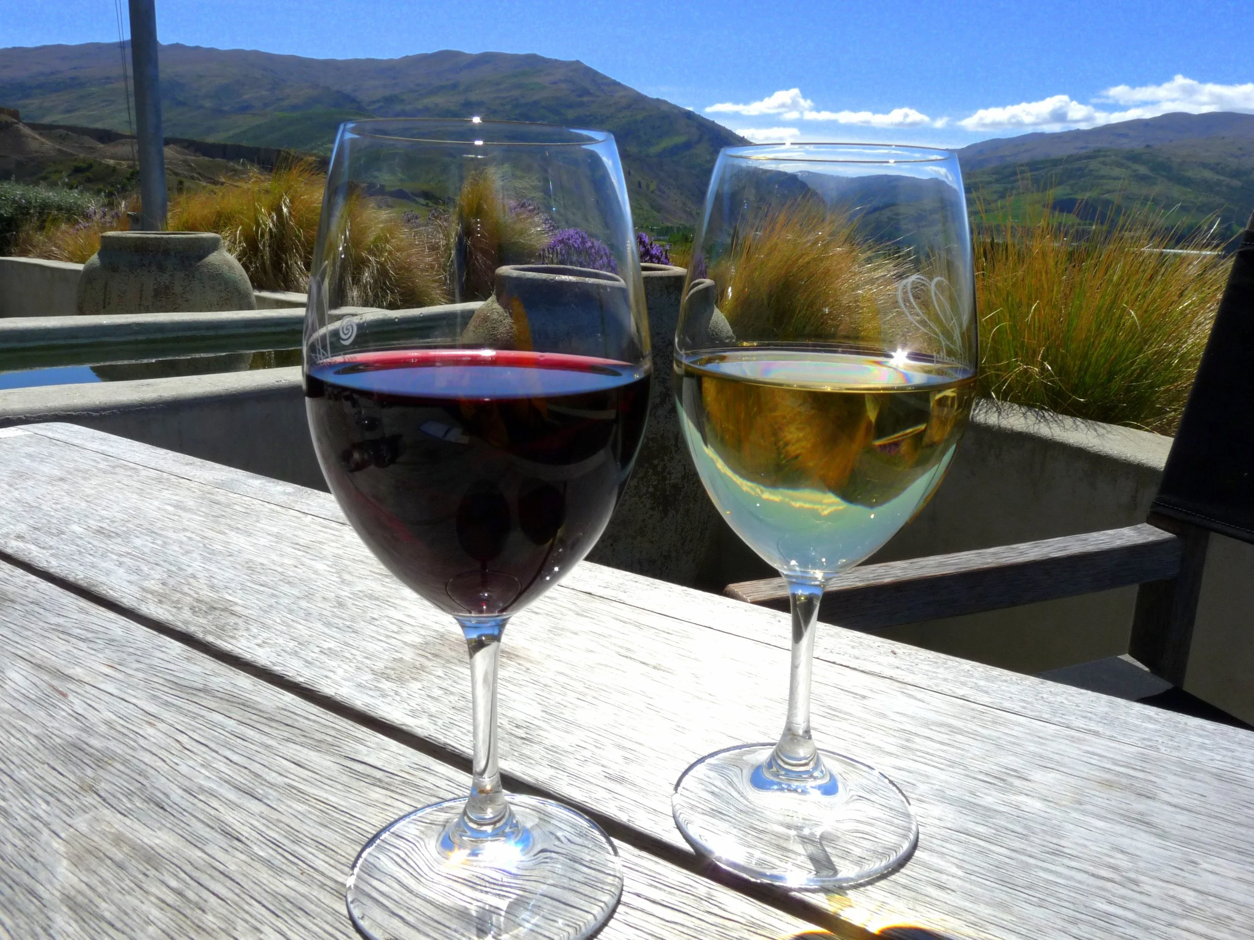 Curated Otago Wine Tasting Experience