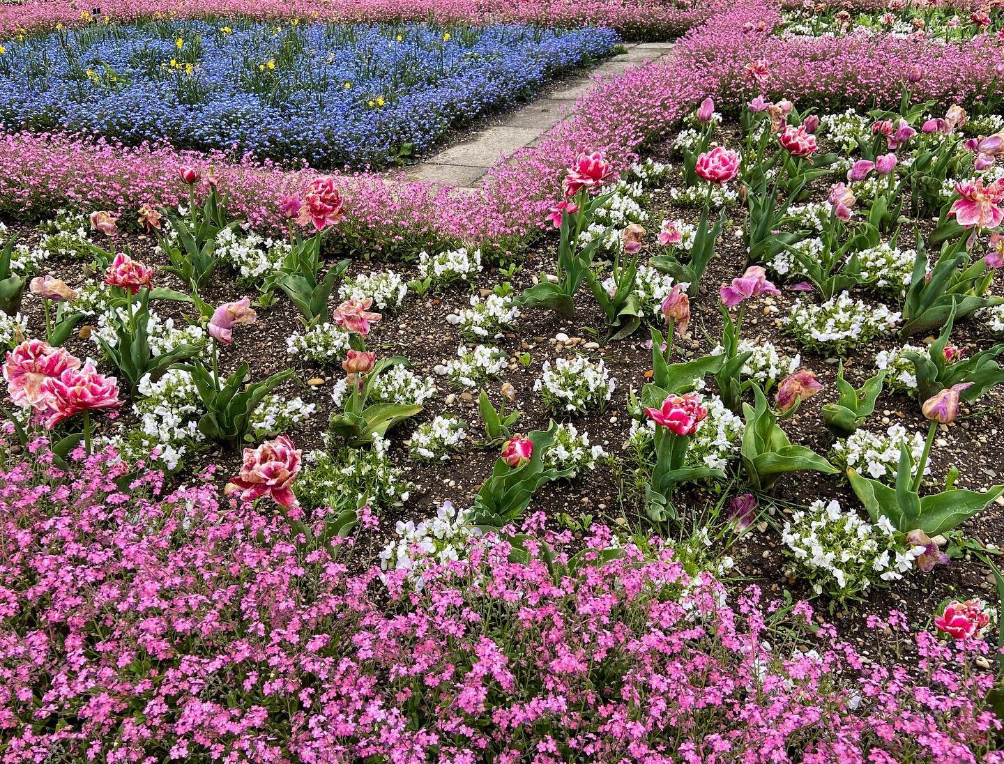 Happy Mother&rsquo;s Day! 🌸🌷

.
.
.
.
.

#gardenclubbackbay #happymothersday #mothersday #momsday #mothersday2023 #celebratemom #flowers #flowersofinstagram #flowersofig #floralpostcard #formalgarden #landscapedesign #nature #urbannature #urbanpark