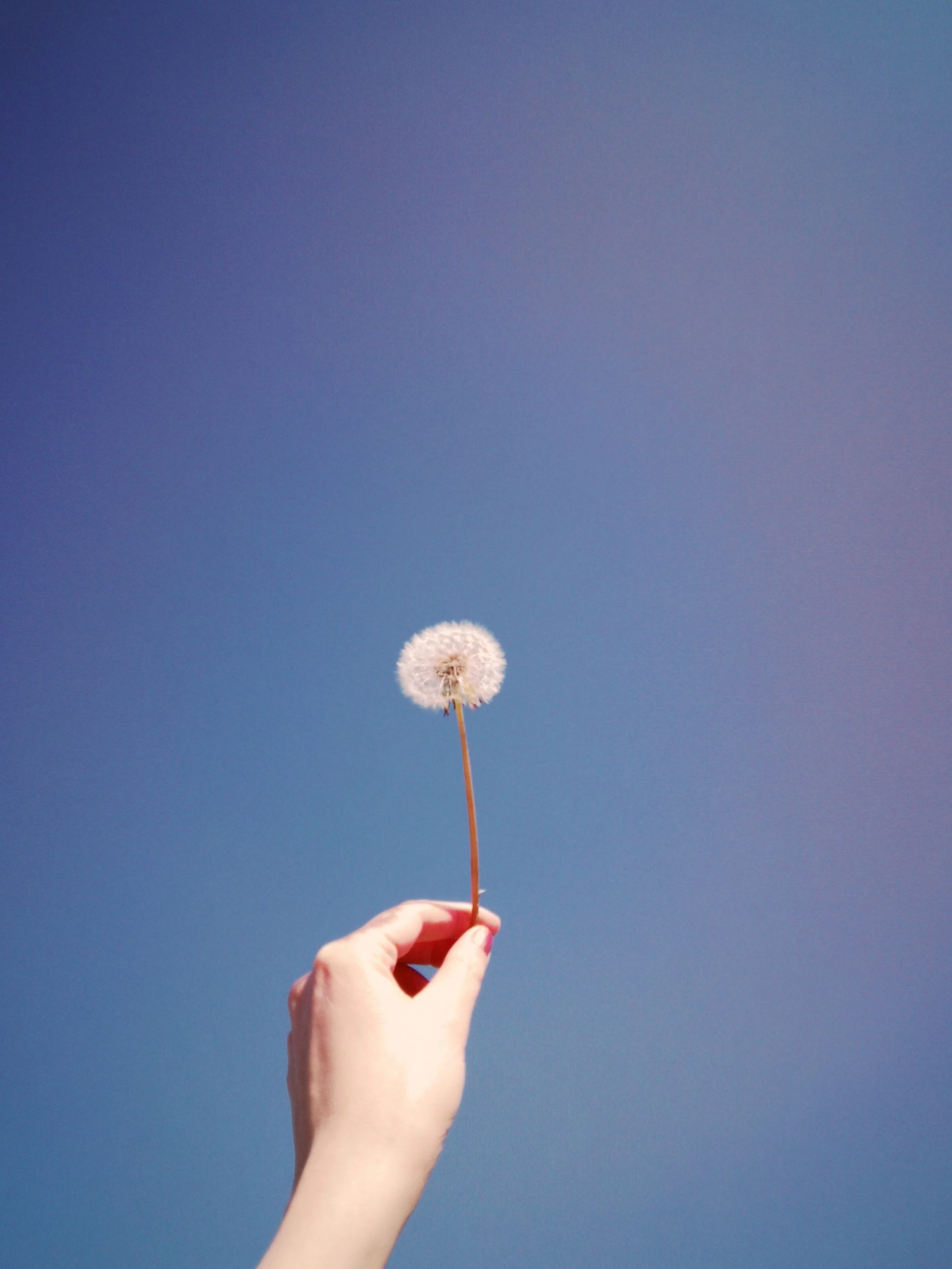 A Wish and a Hope