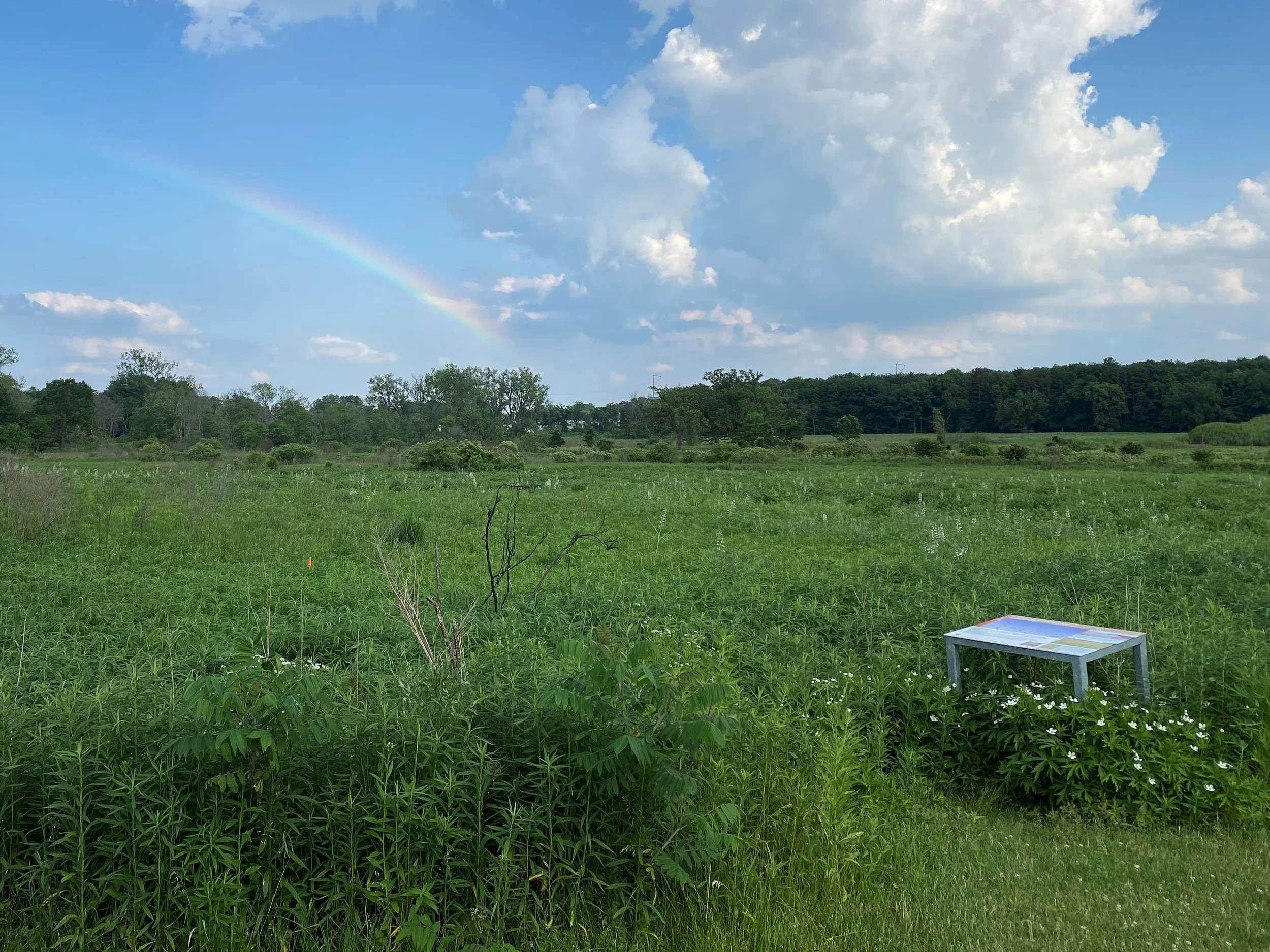 A Science of Hope — Ruthlessly Hopeful