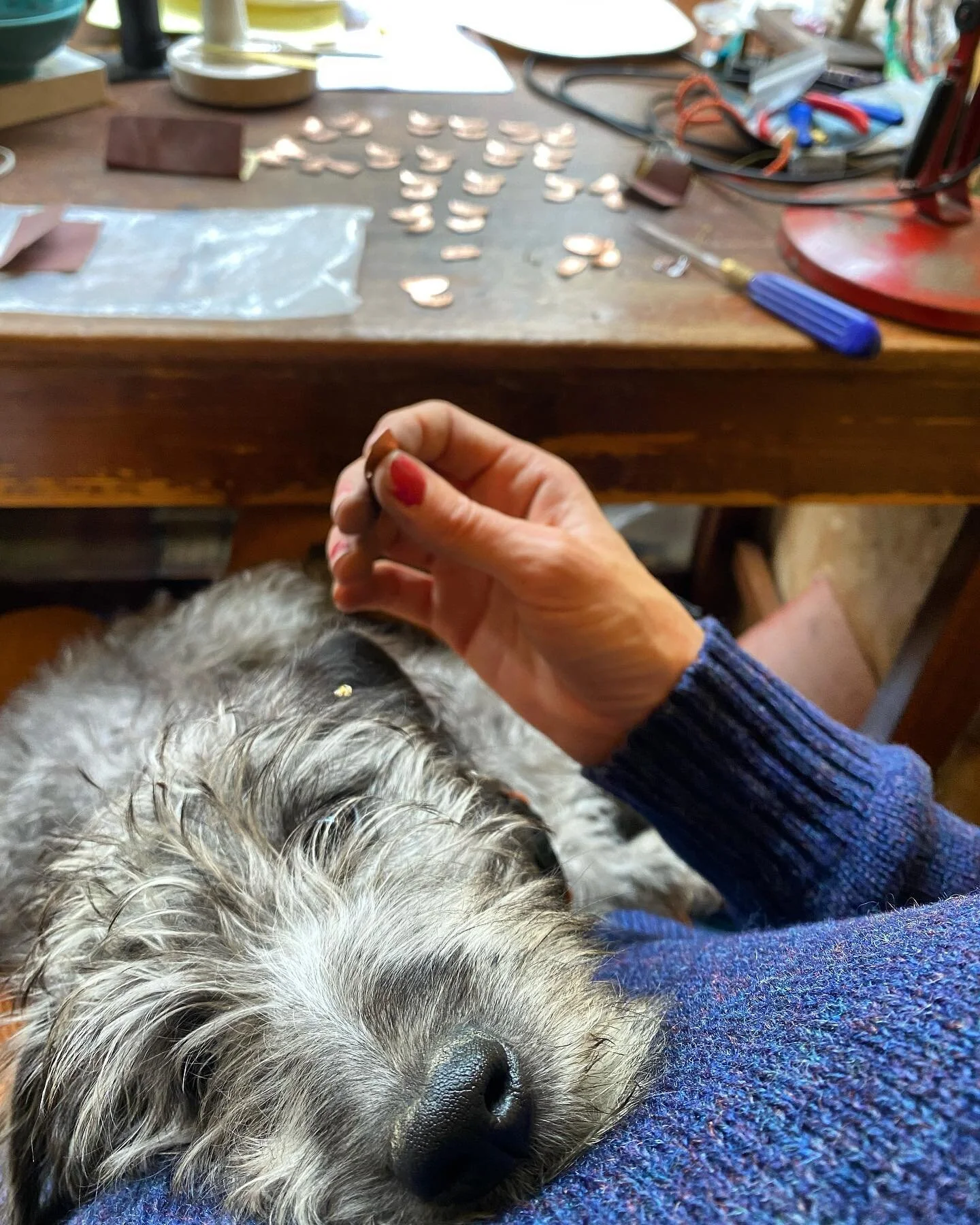 Not so easy to get any work done around here at the moment! 🐶🐾