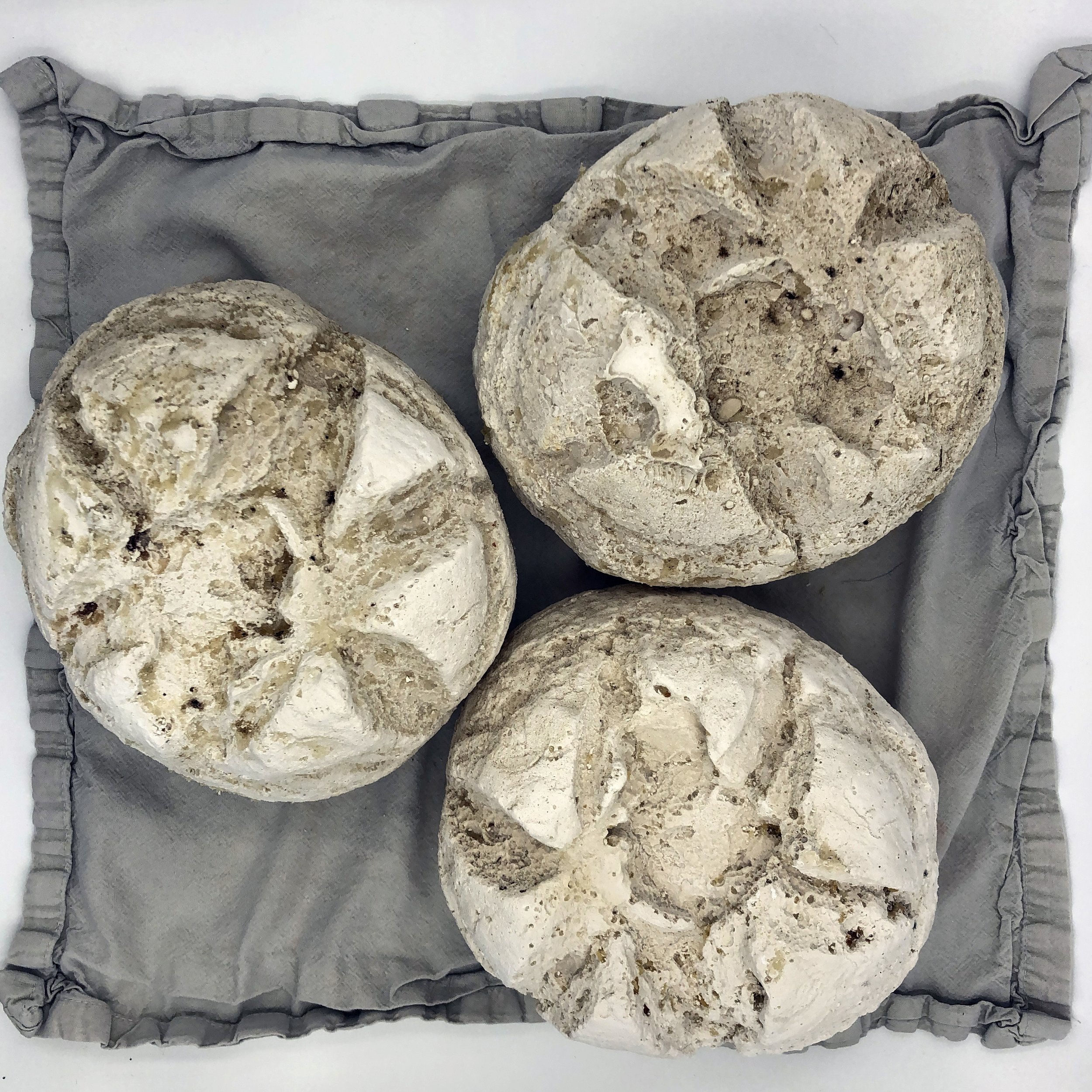 Bethany_Engstrom_BreakingBreadLoaves.jpg