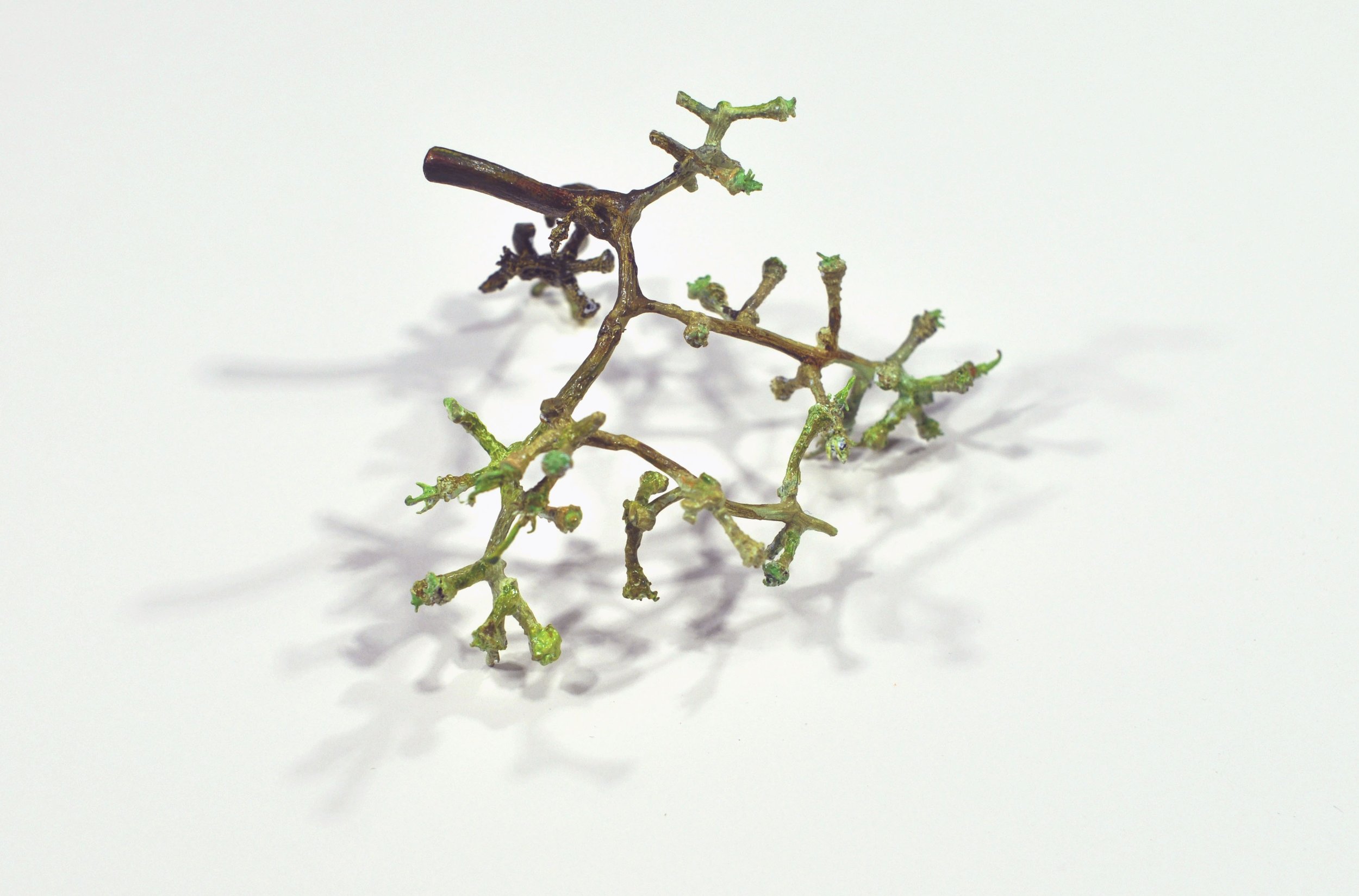 Of_Wrath_Thormpson Seedles_ VI.jpeg