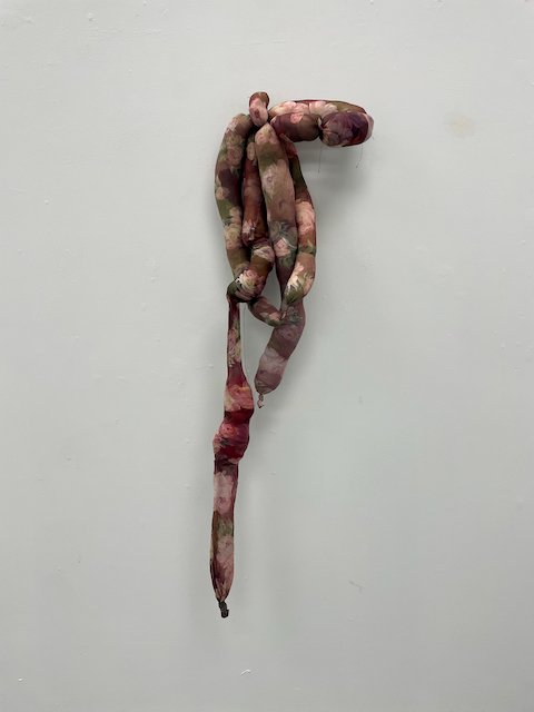 Iris Eve Schaer, "Processing Memory"
