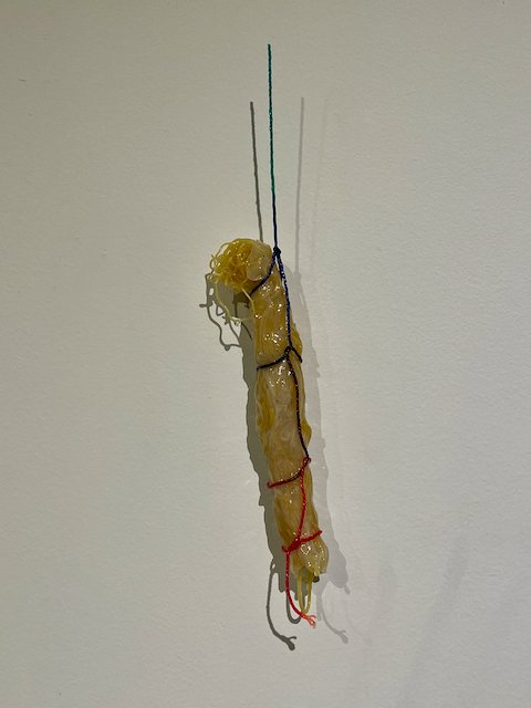 Iris Eve Schaer, "Loose Ends"