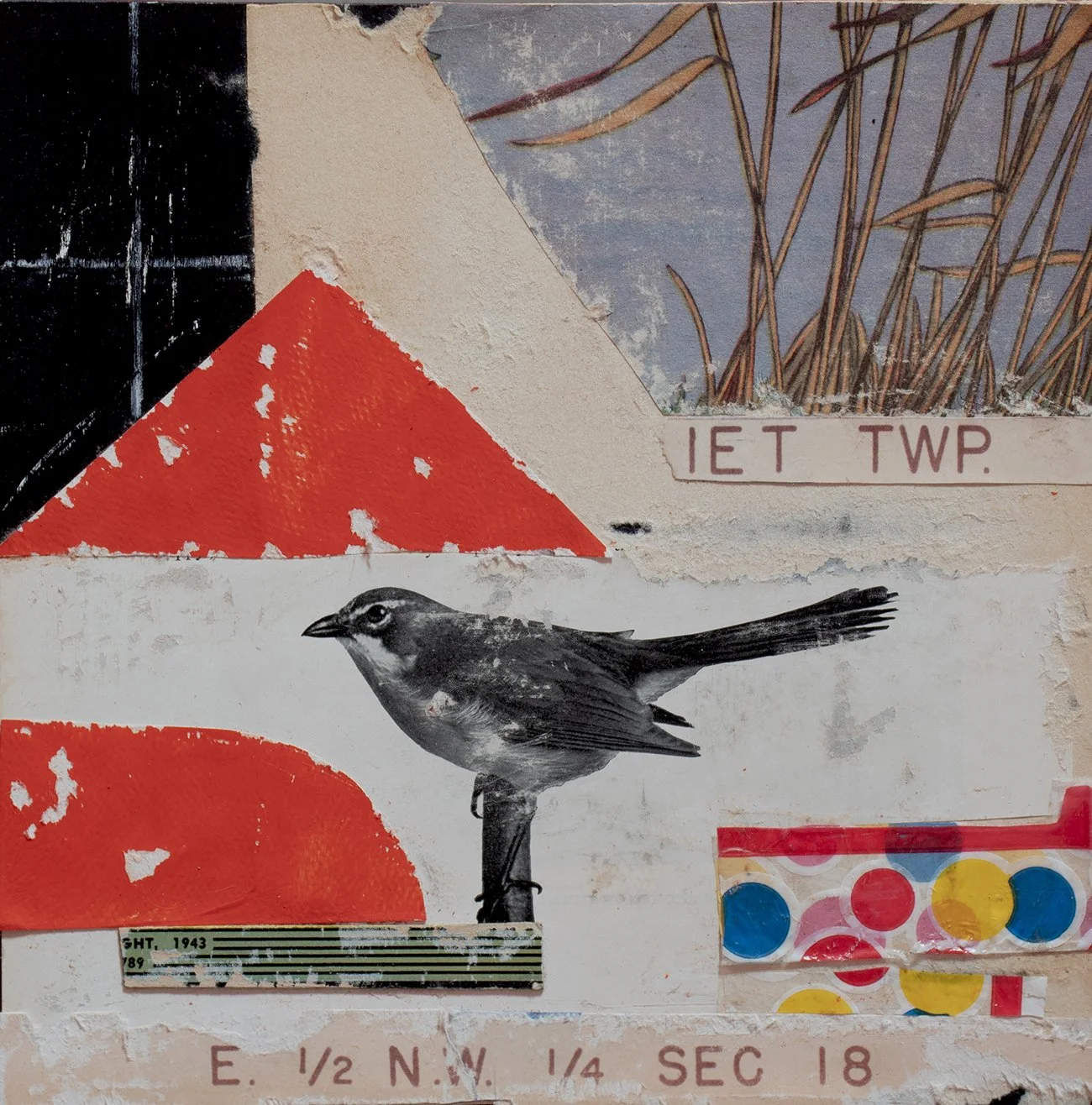 Natural History Section 18  by Jack Poker