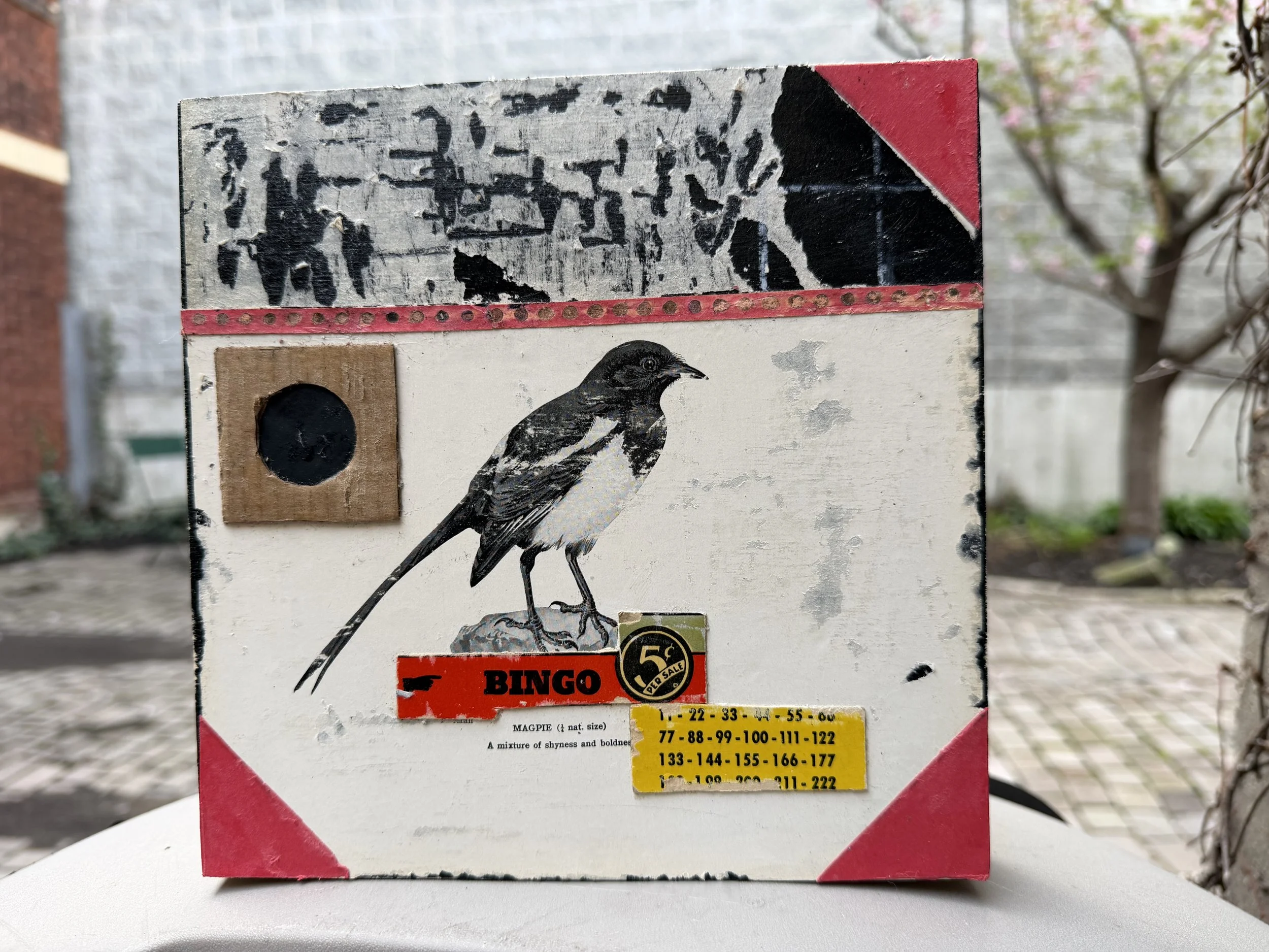 Magpie with Abstract Painting and Parking Lot.jpeg