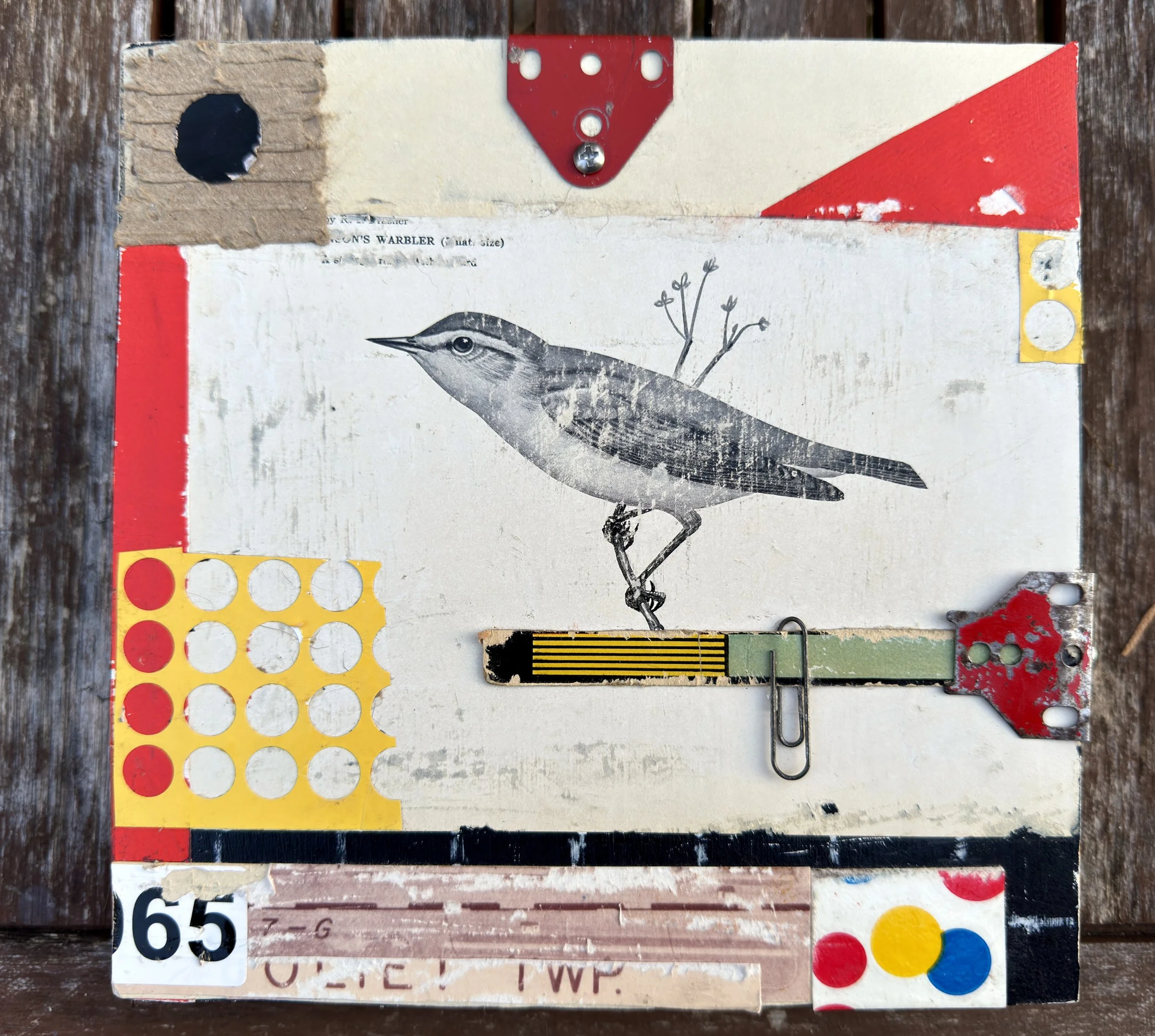 Warbler and Paperclip - by Jack Poker