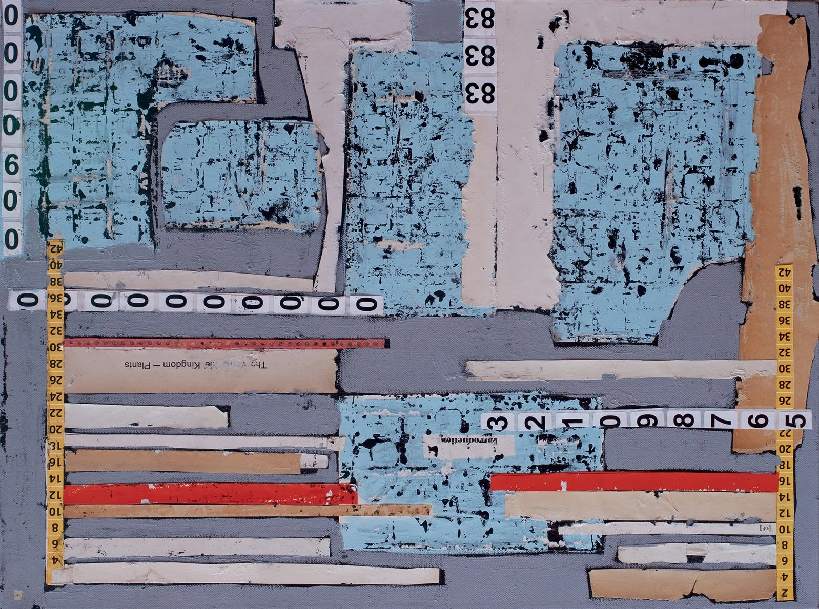 The Kingdom of Plants by Jack Poker