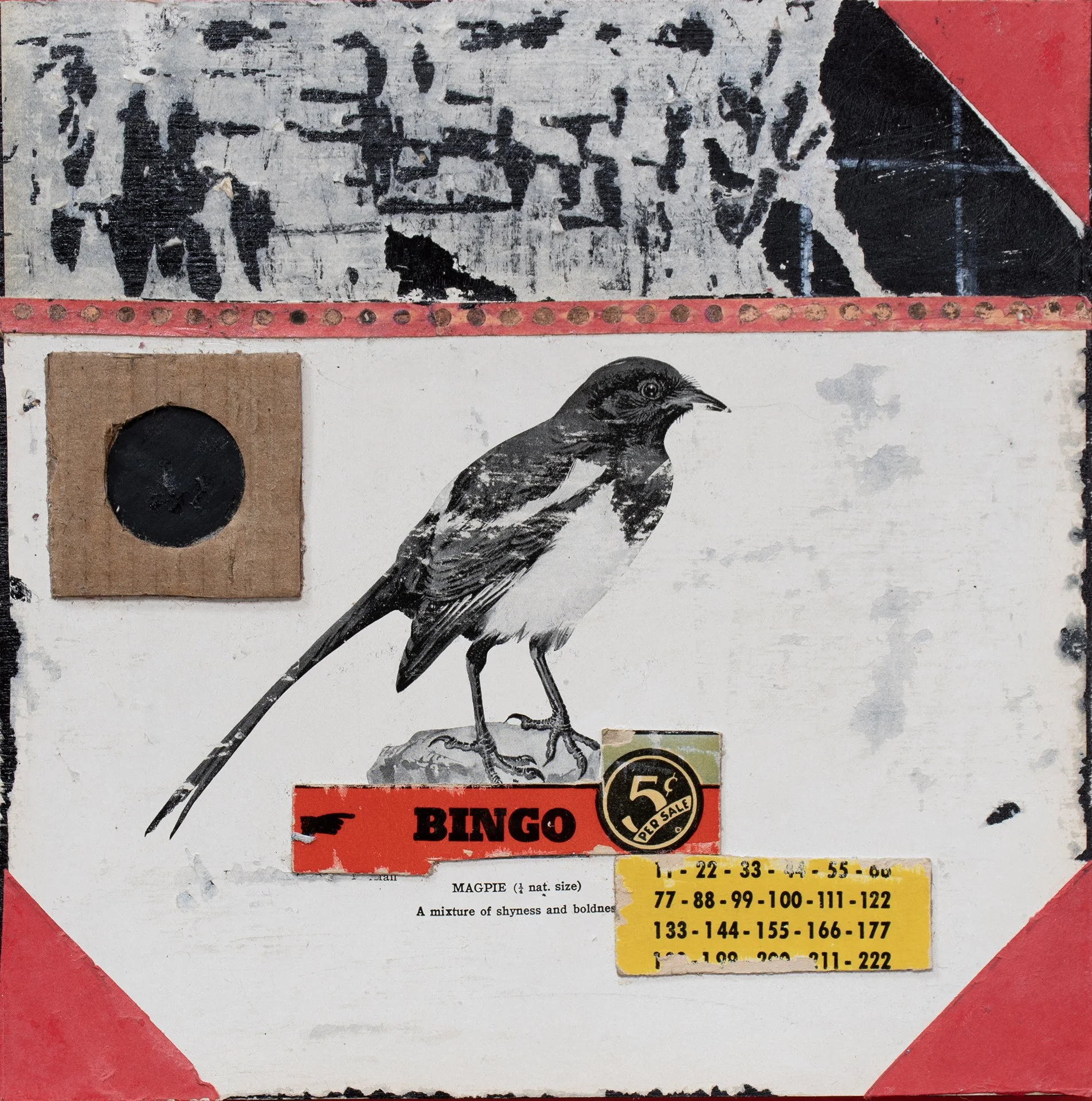 Magpie With Abstract Painting and Parking Lot.jpg