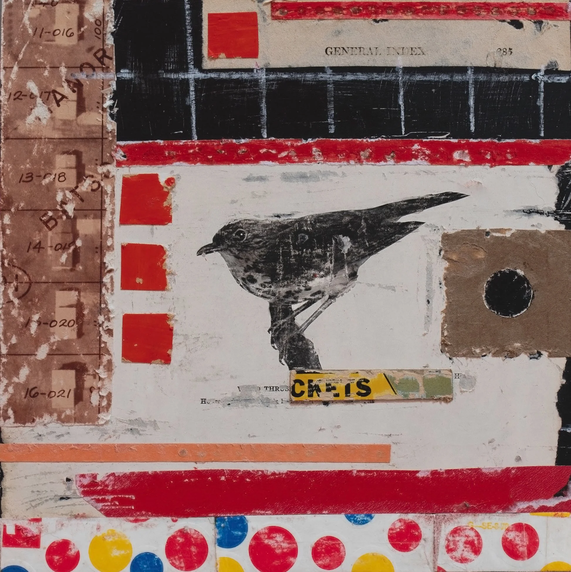 General Index-Thrush.JPEG