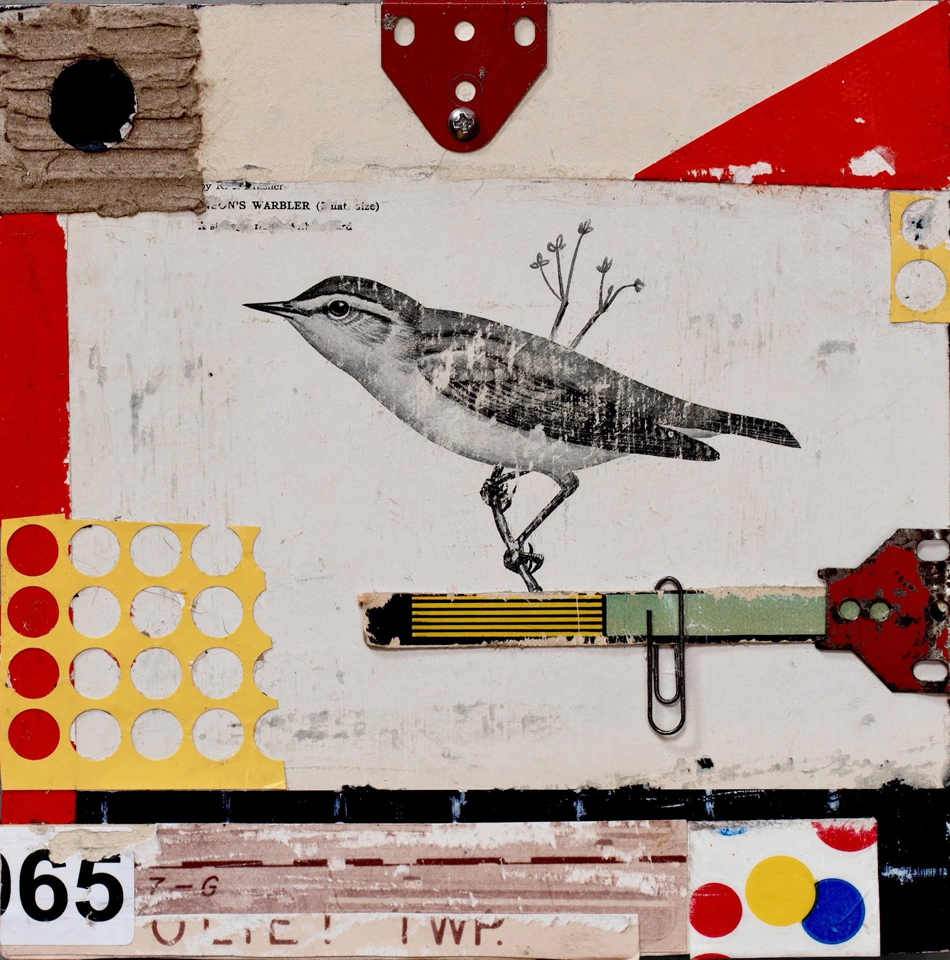 Warbler With Paperclip website.jpg