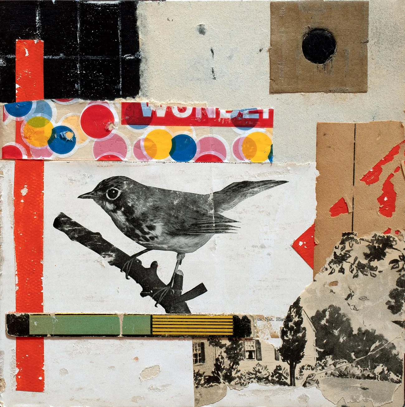 Natural History  by Jack Poker