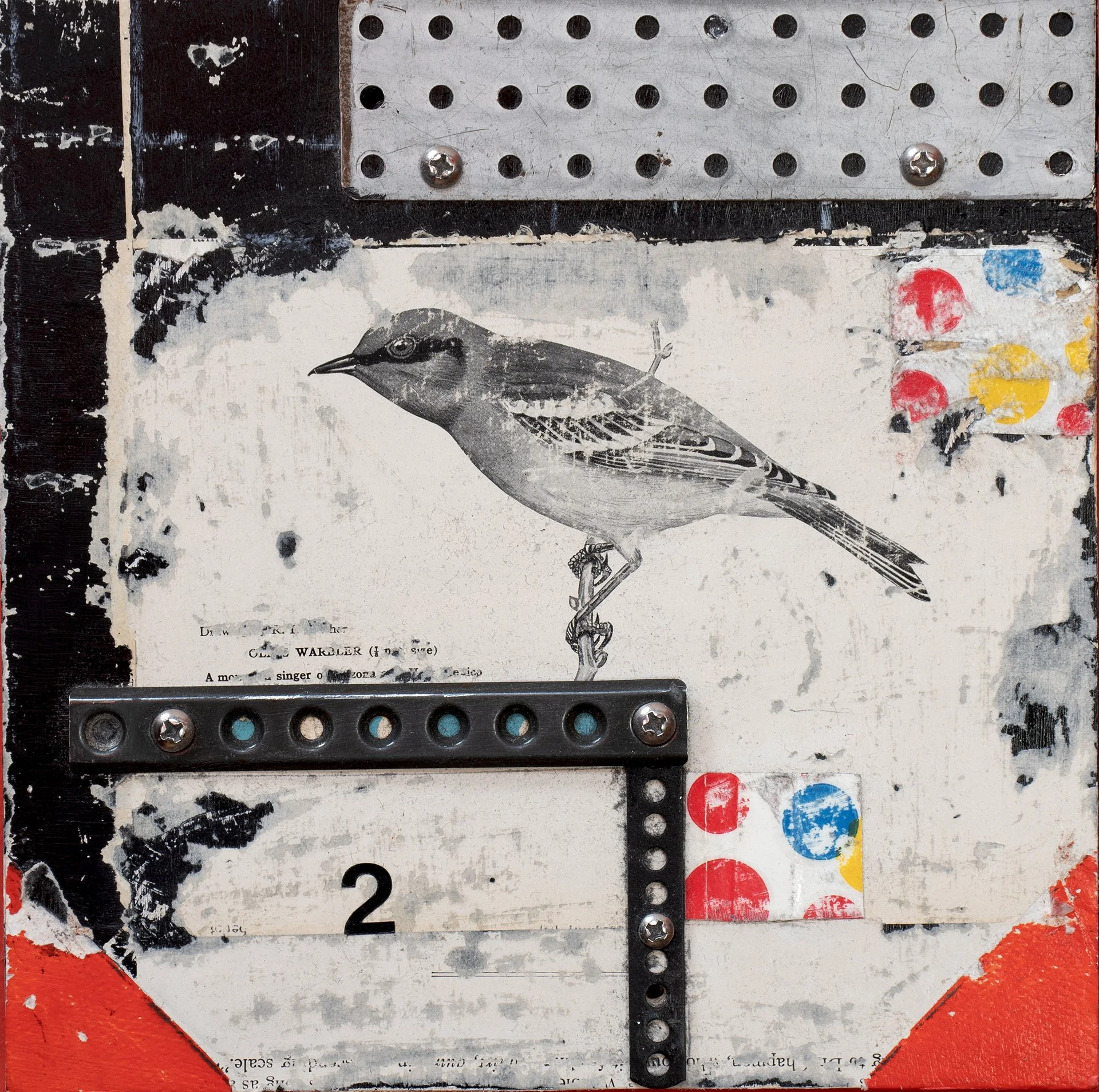 Reduced to Scale.jpg