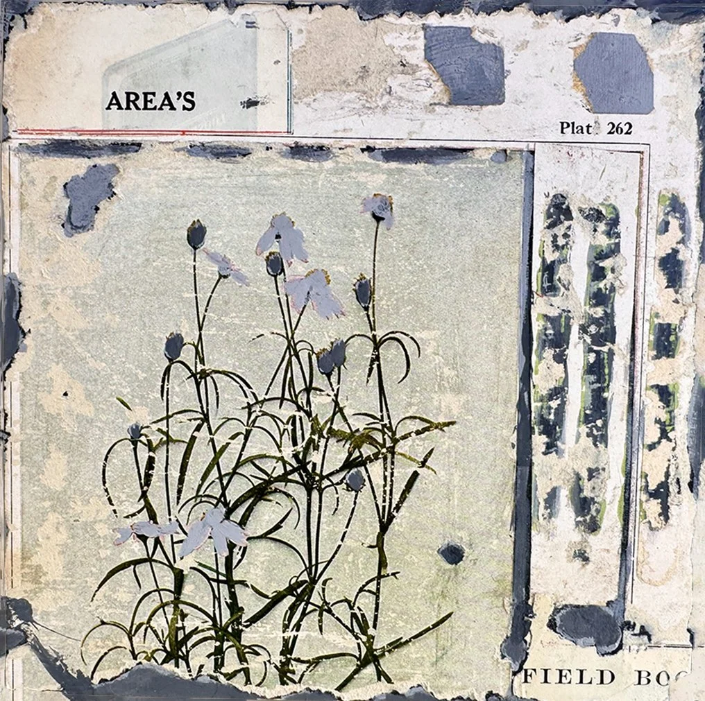 Area’s Field Box- Plat 262 by Jack Poker