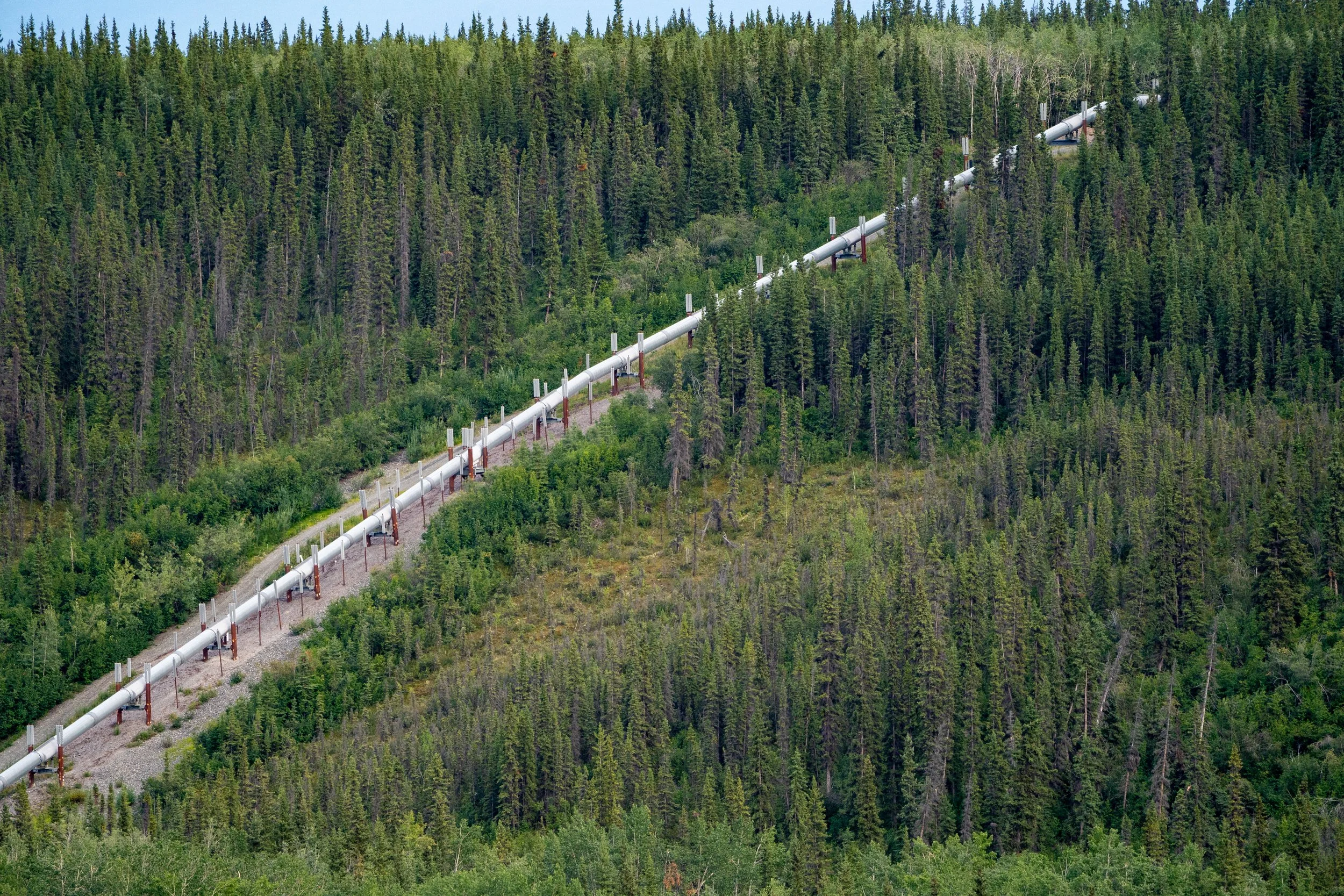 Oppose Huge New Oil Drilling in Alaska